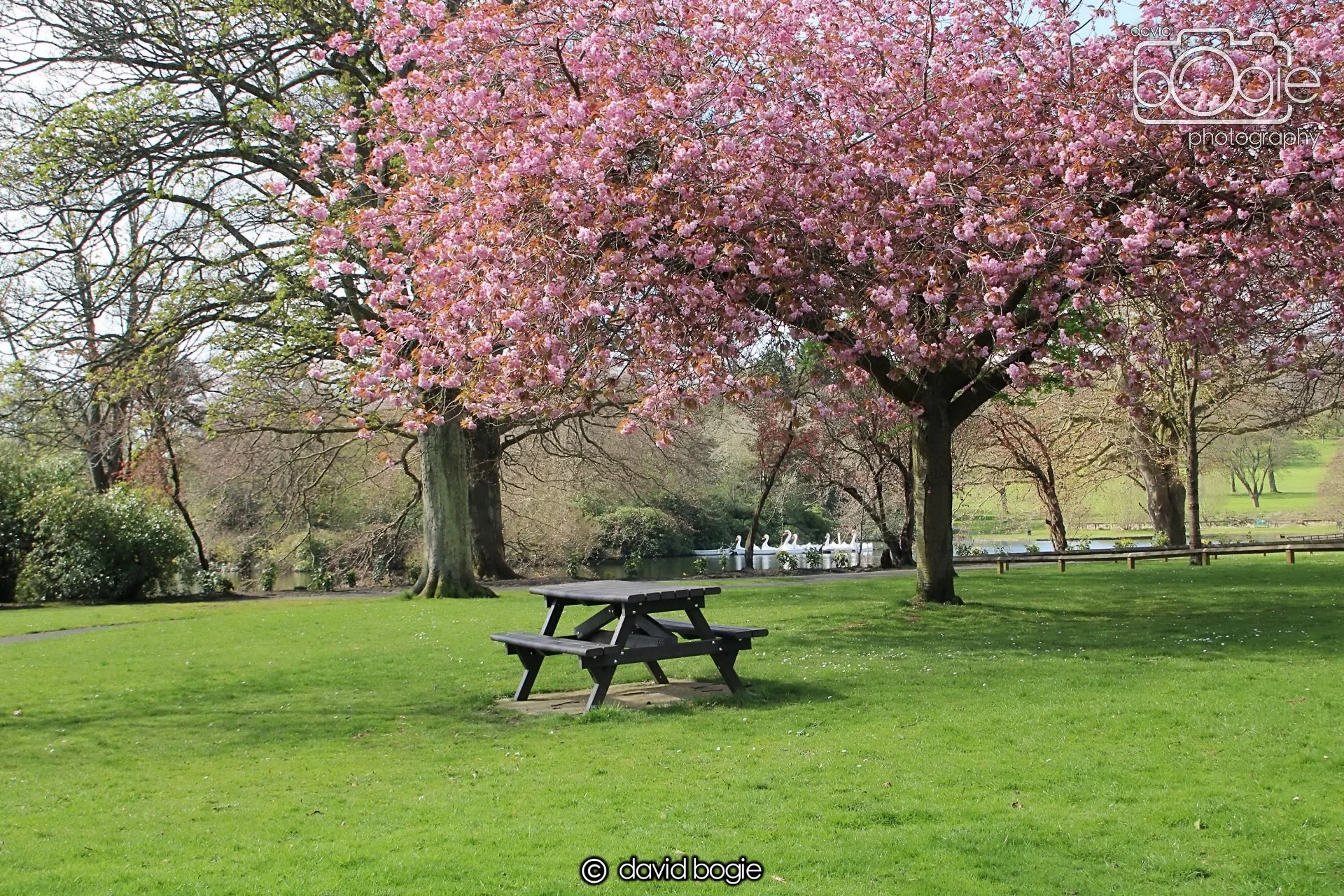 20240423 105204 Beveridge 0010.JPG