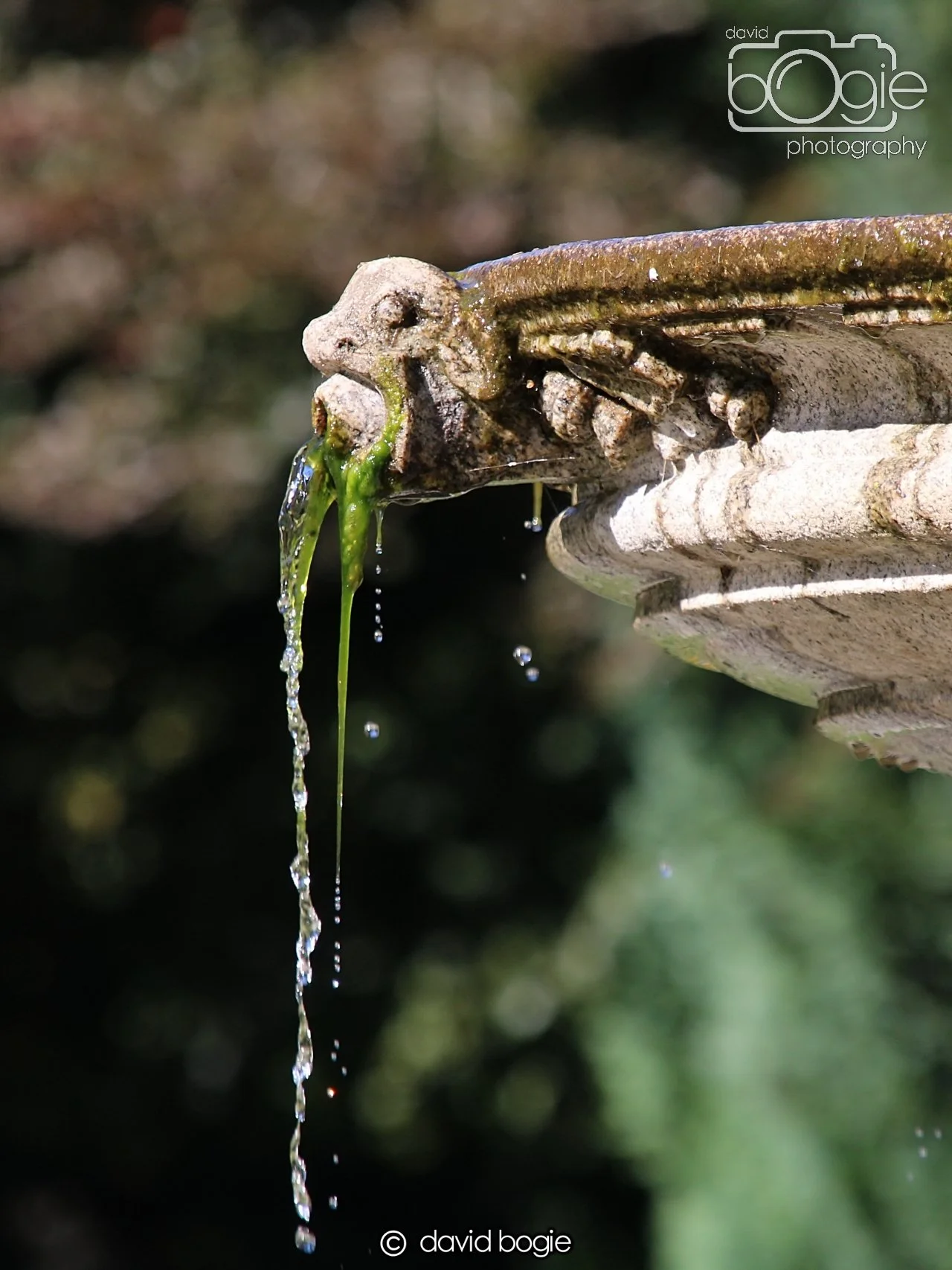 20240918 115242 Beveridge 0178.JPG