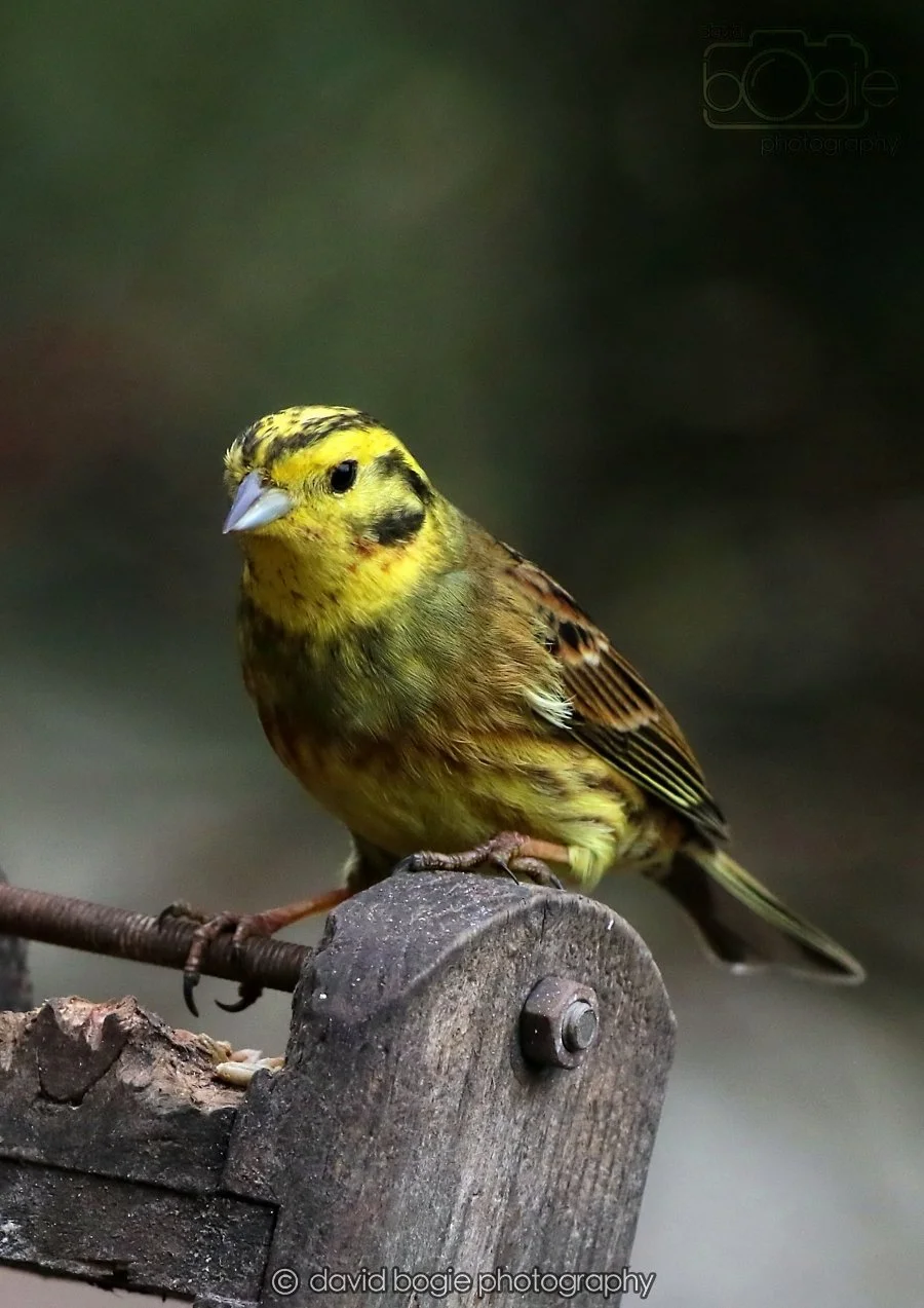 20260215 132446 Silverburn 0158.jpg