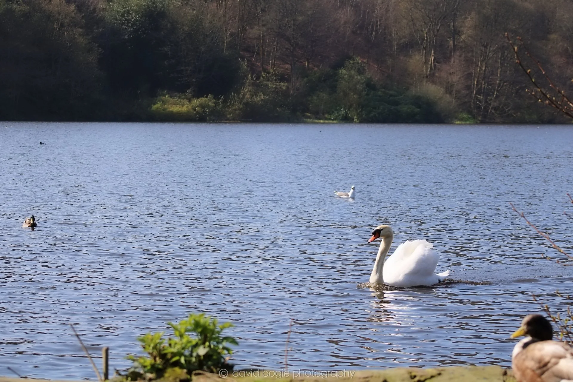 20190411 111100 Otterston 0006.jpg