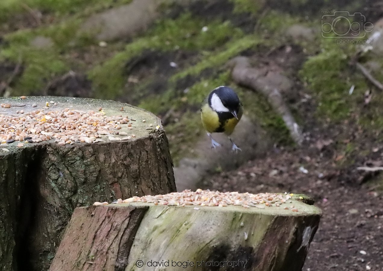 20260309 120431 Dunnikier 0579.jpg