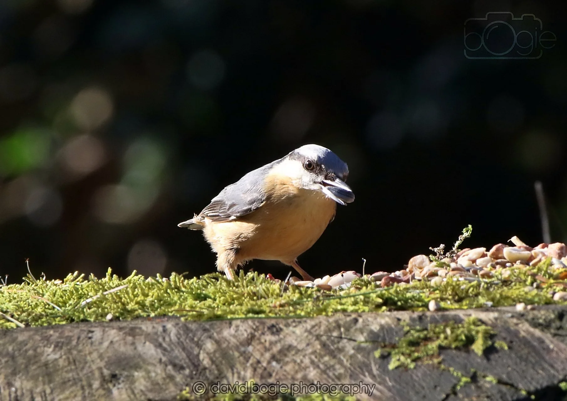 20260320 143734 Ravenscraig 0376.jpg