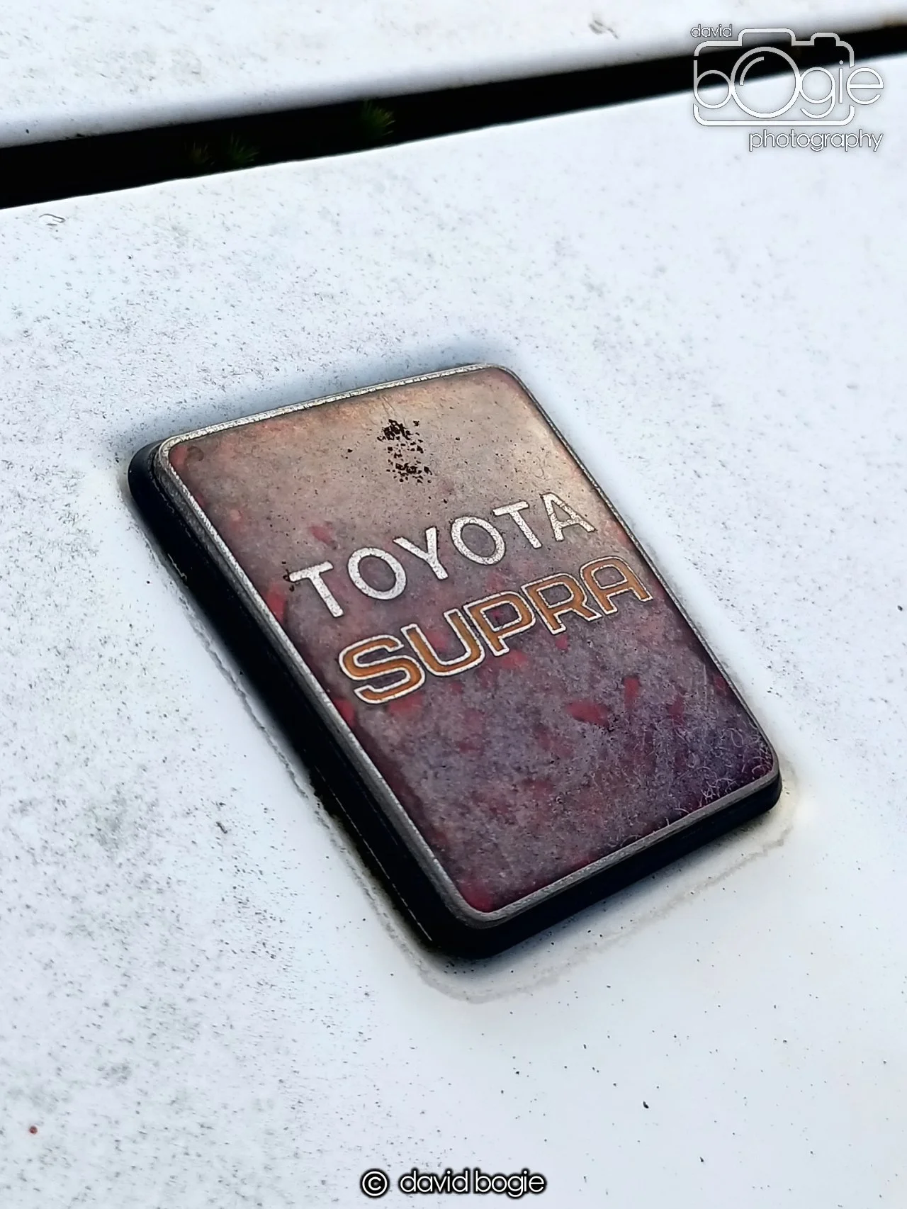 20250129 125736 Reekies 0113g.jpg