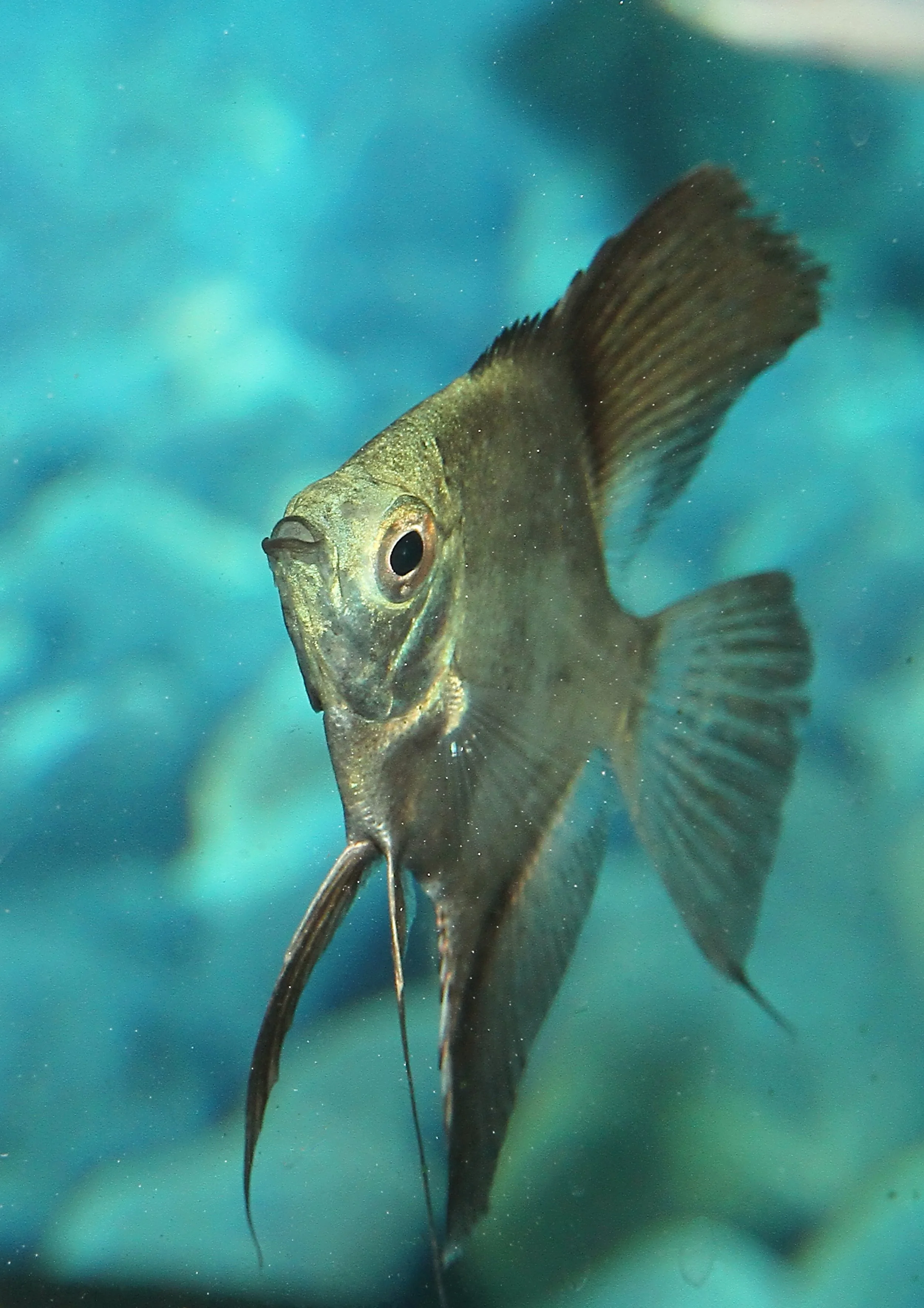 20260403 142526 IMG_0193.jpg