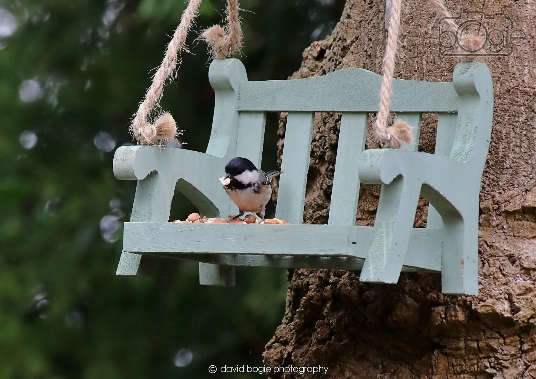 20260403 124637 Dunnikier 0221.jpg