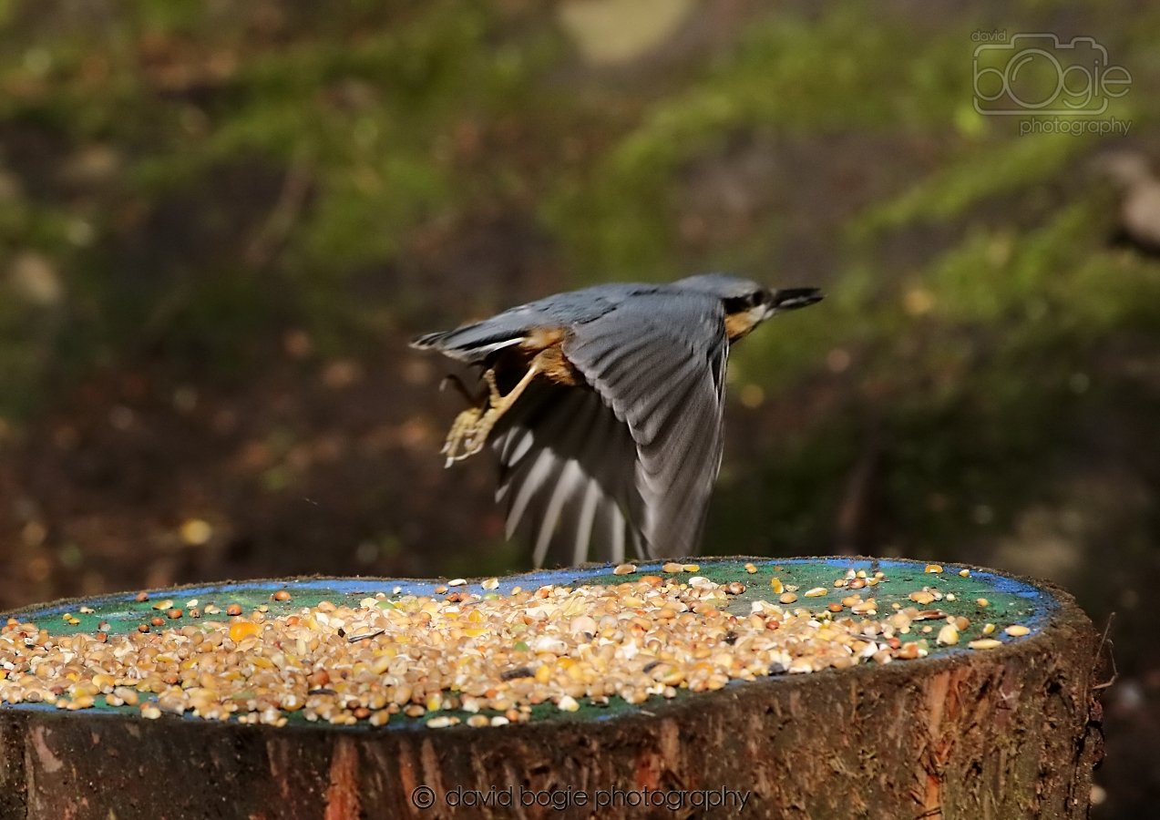 20260306 115618 Dunnikier 0433.jpg