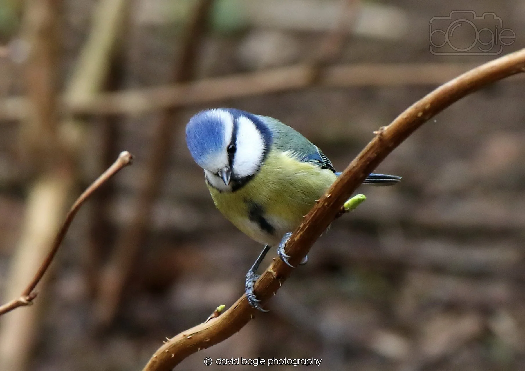 20260326 112044 Silverburn 0065.jpg