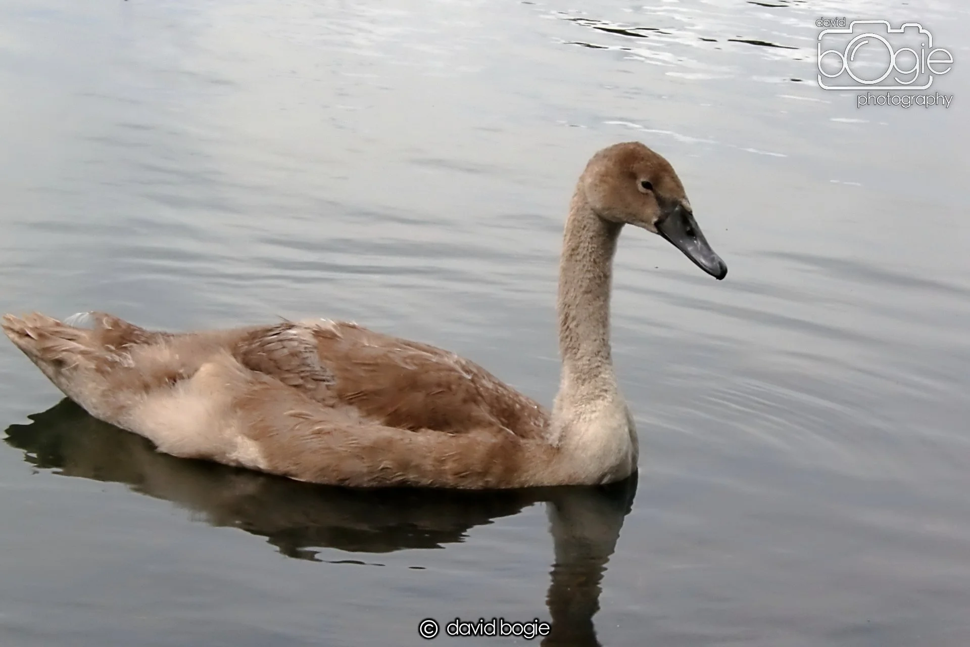 20250721 124100 Beveridge Park 0235.JPG