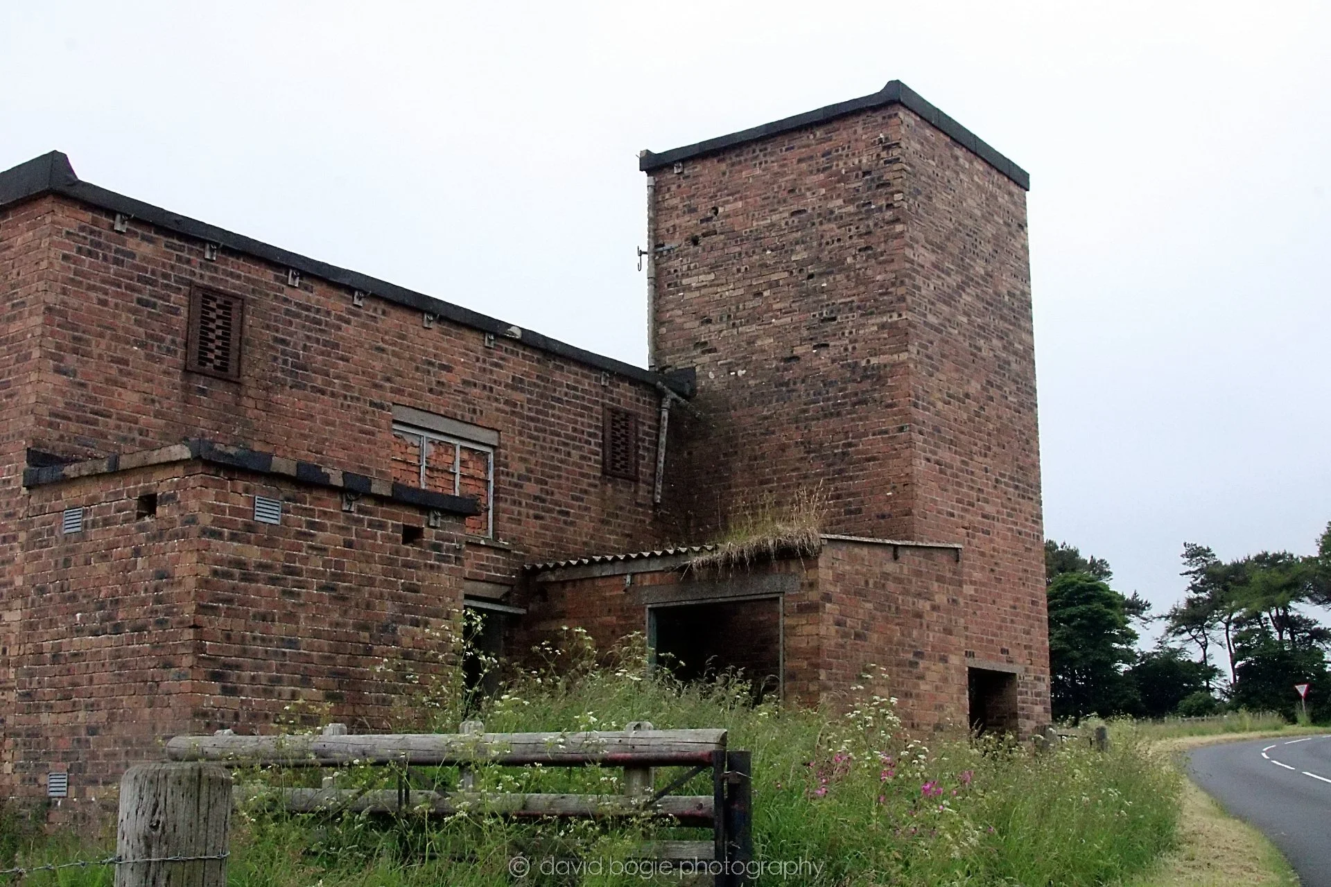 20210629 121527 Fife 0015.jpg