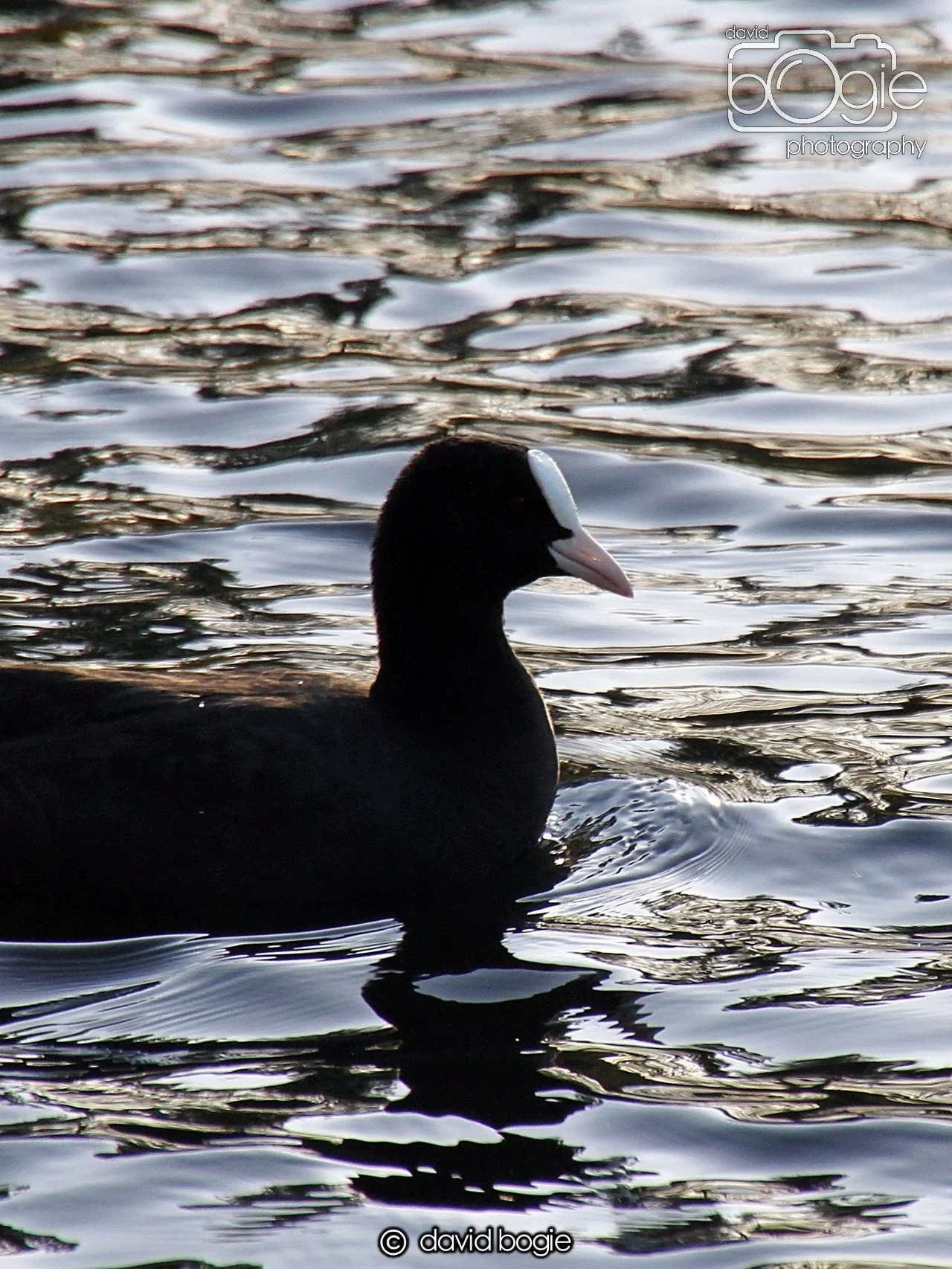 20231022  Beveridge Park  162836 0039.jpg