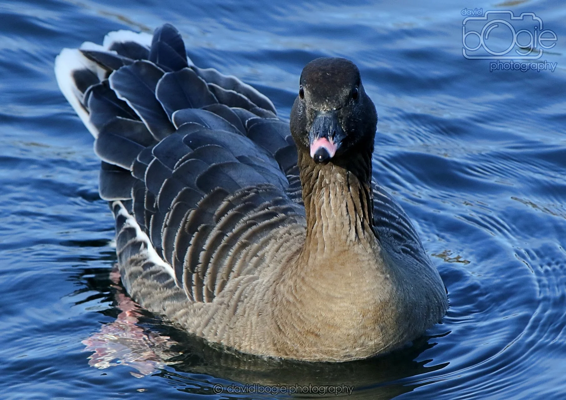 20260319 113159 Beveridge Park 0104.jpg