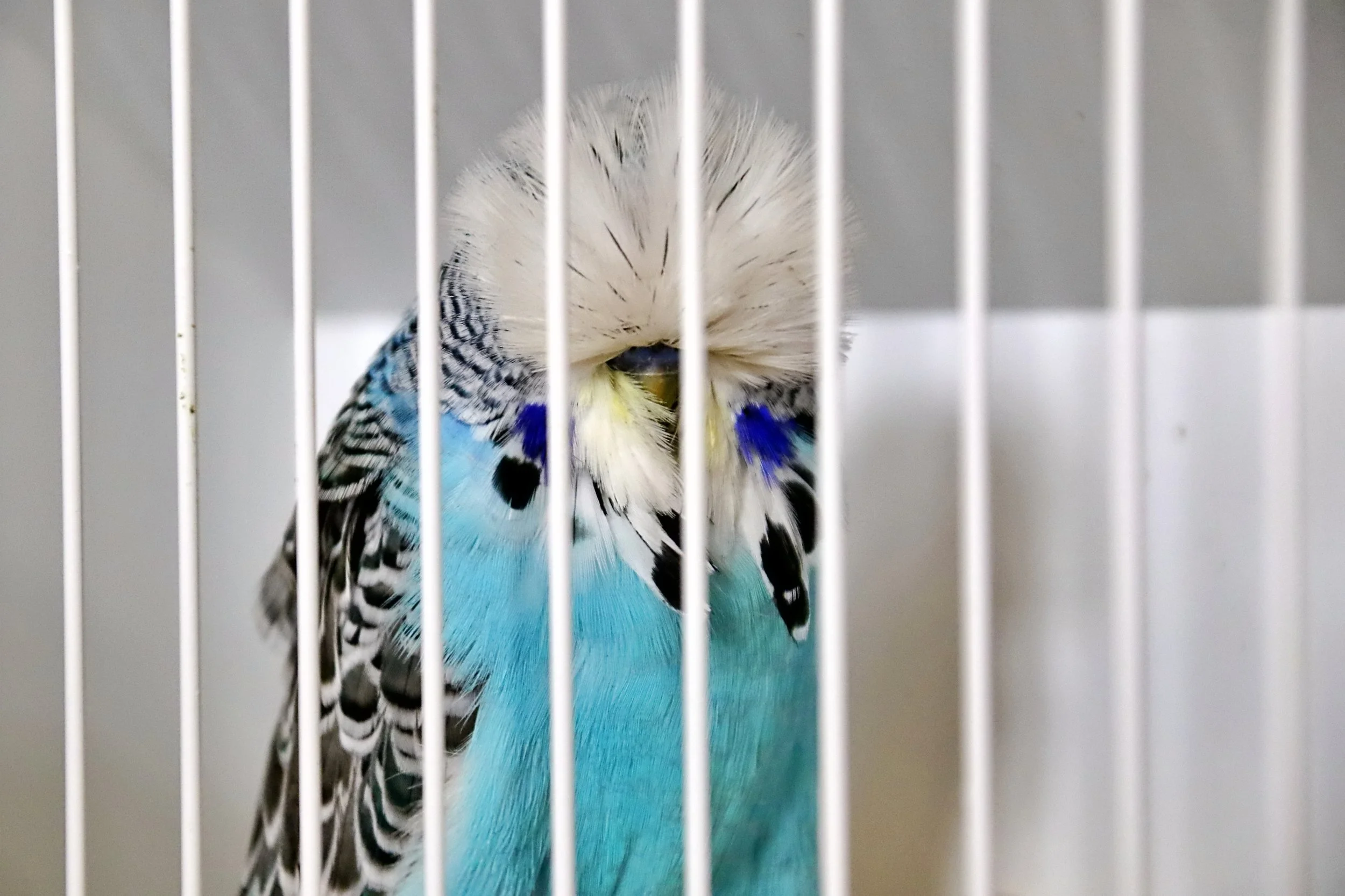 20251102 123839 Markinch CBS  0438.JPG