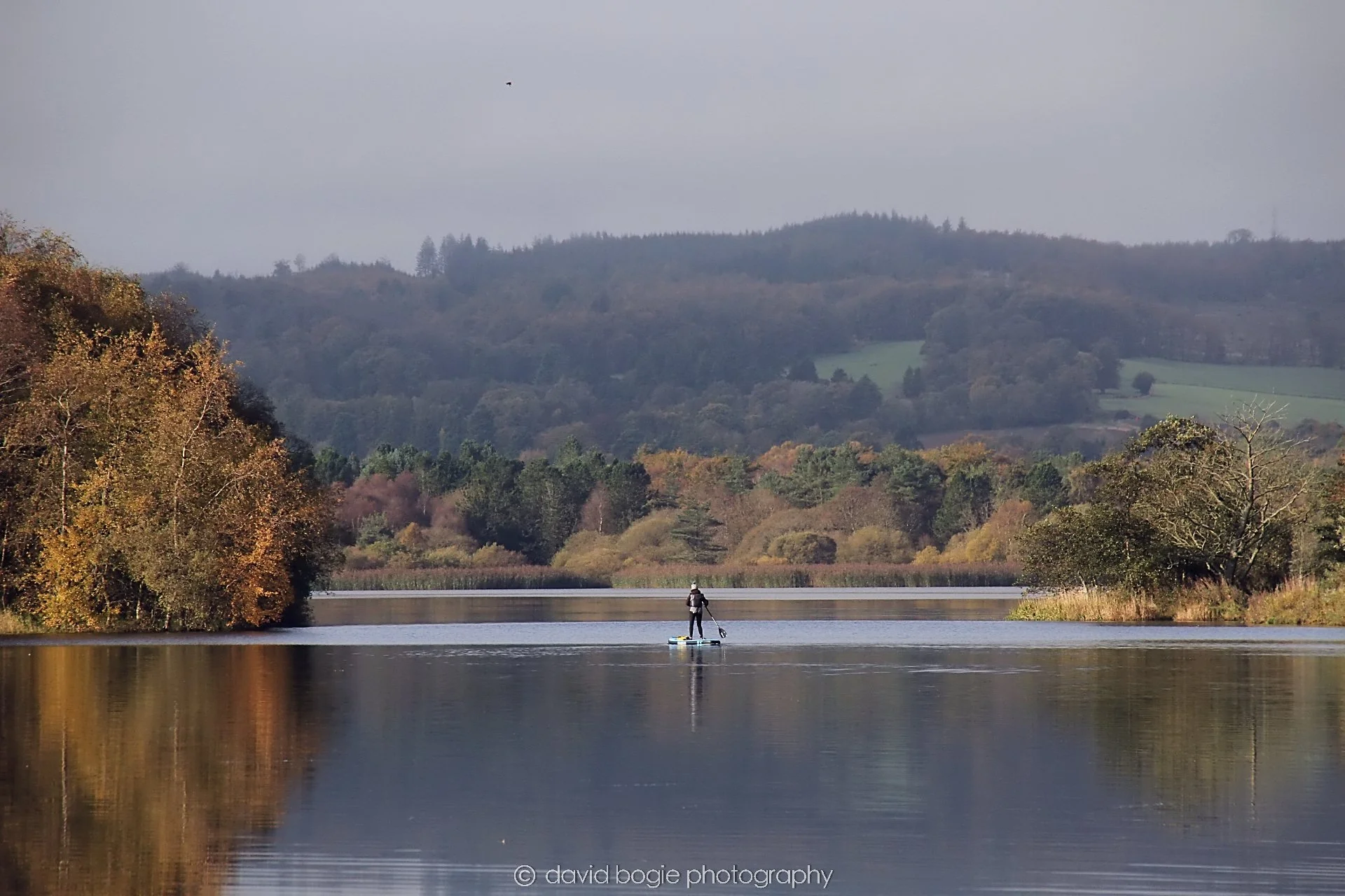 YEAR20231023 Lochore Meadows 110926 0233.jpg