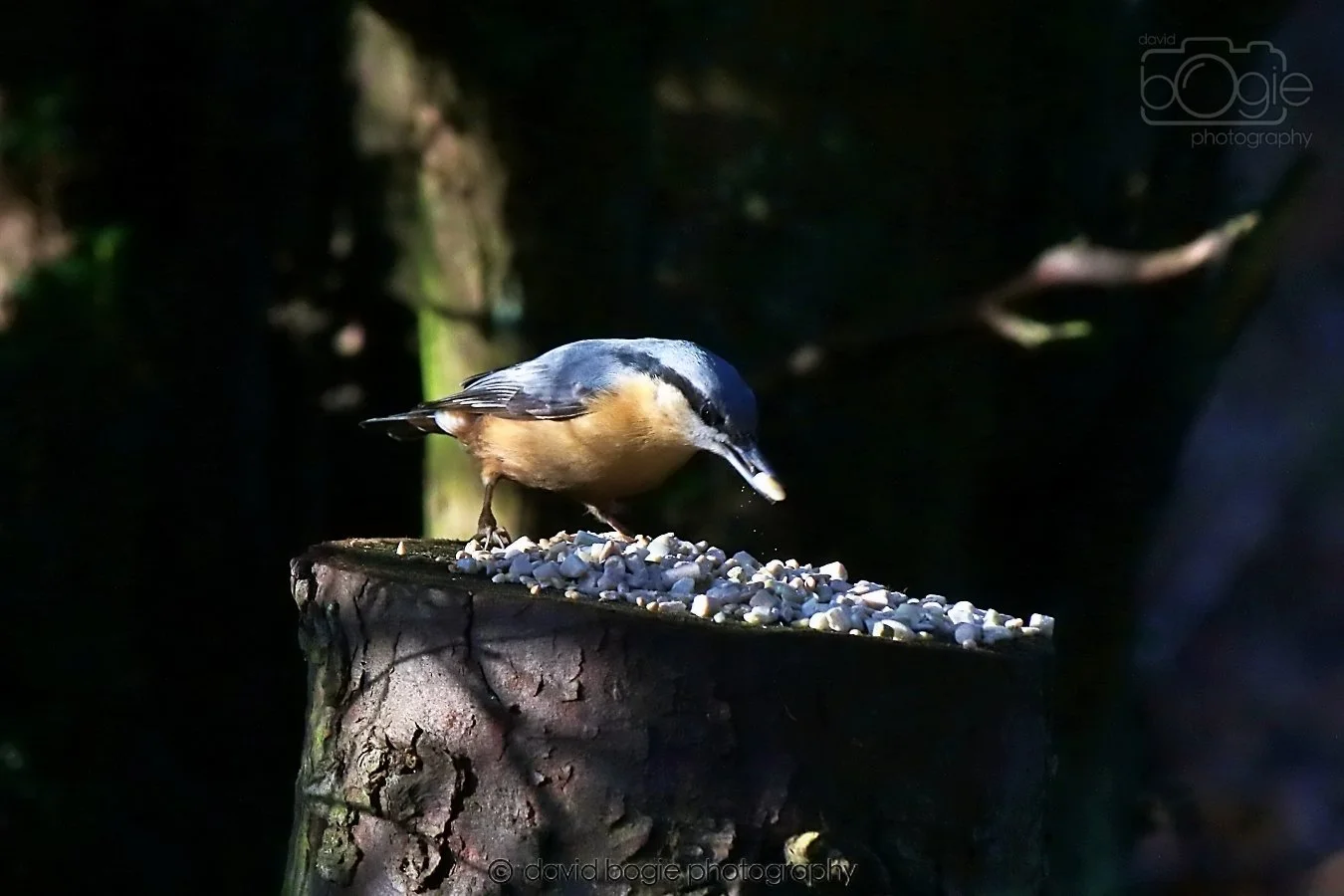 20260128 130002 Dunnikier 0112.jpg