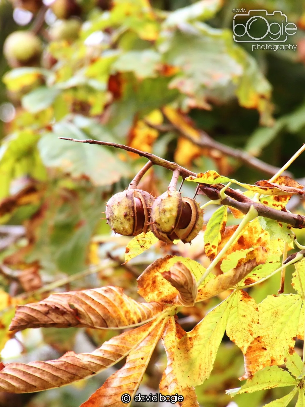 20231016 Beveridge 150402 0331.jpg