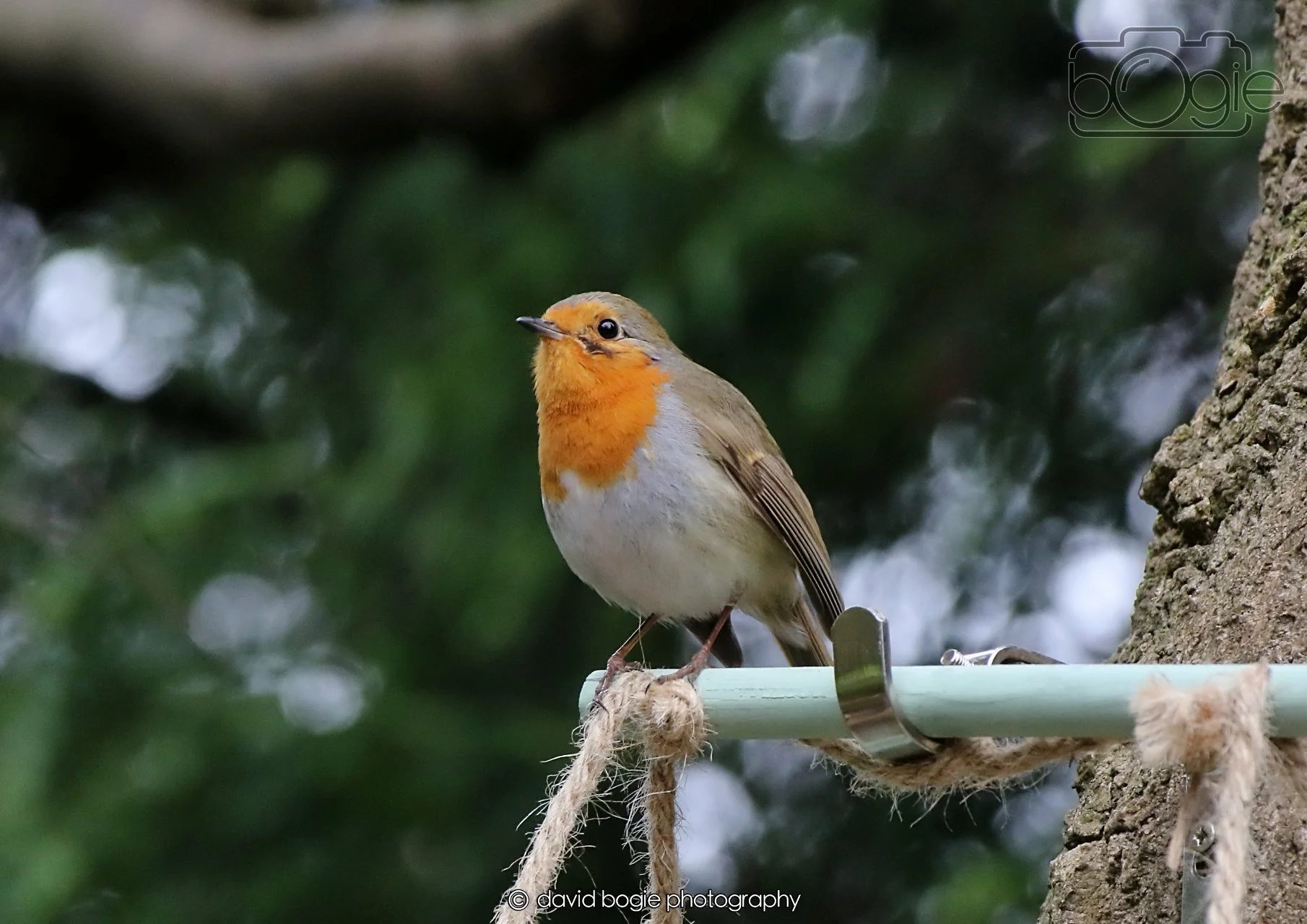 20260403 130241 Dunnikier 0326.jpg