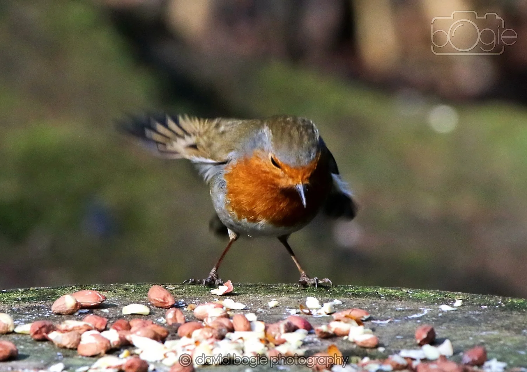 20260322 150903 Dunnikier 0250.jpg