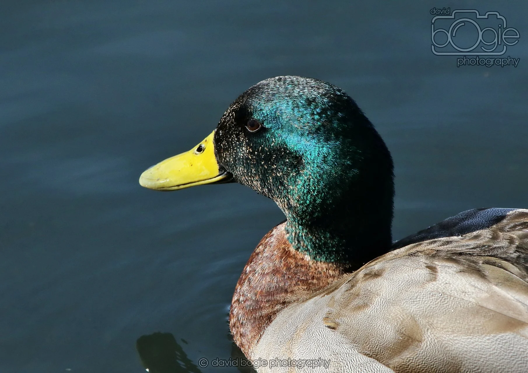 20260319 132927 Beveridge Park 0446.jpg