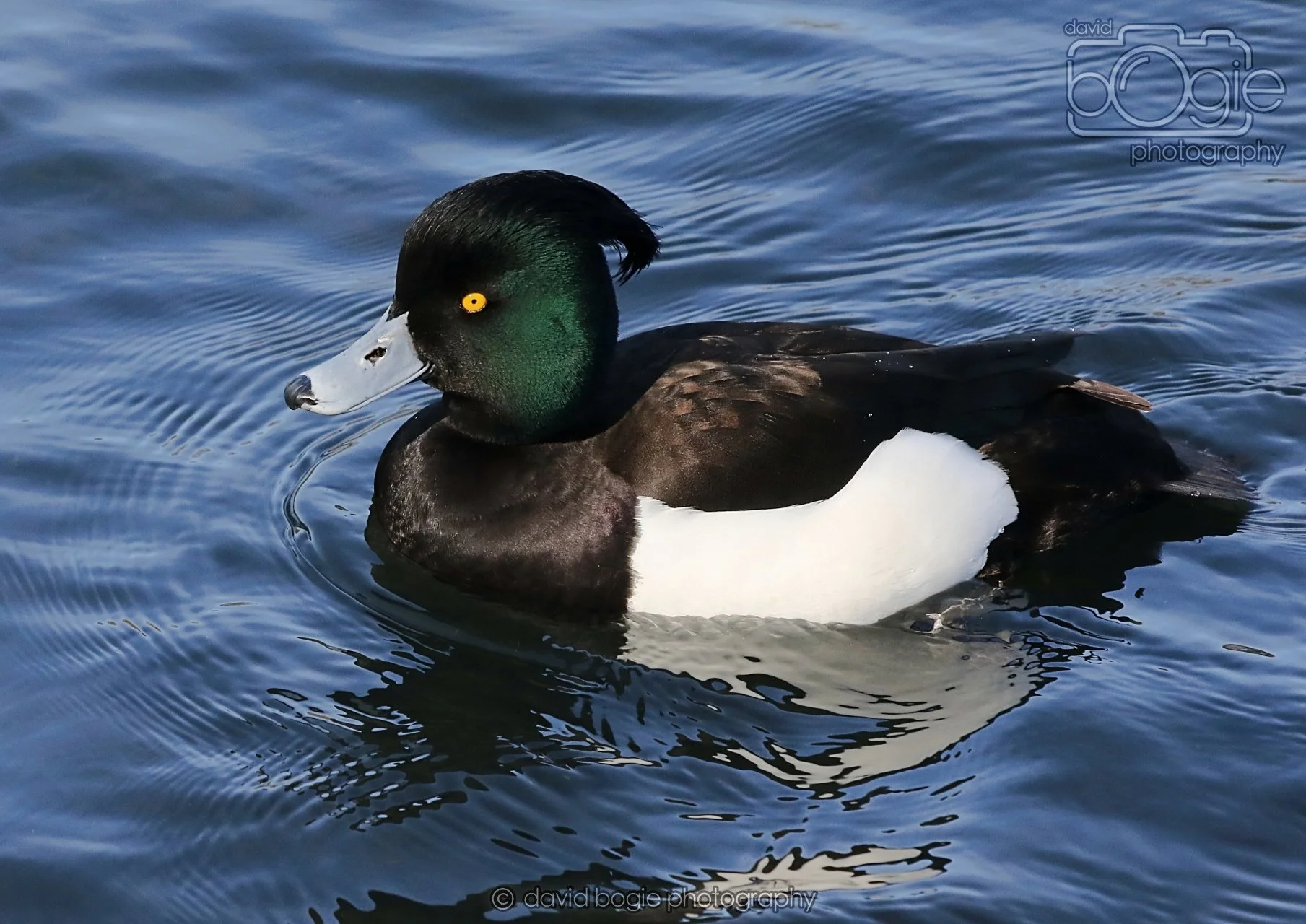 20260319 113108 Beveridge Park 0088.jpg