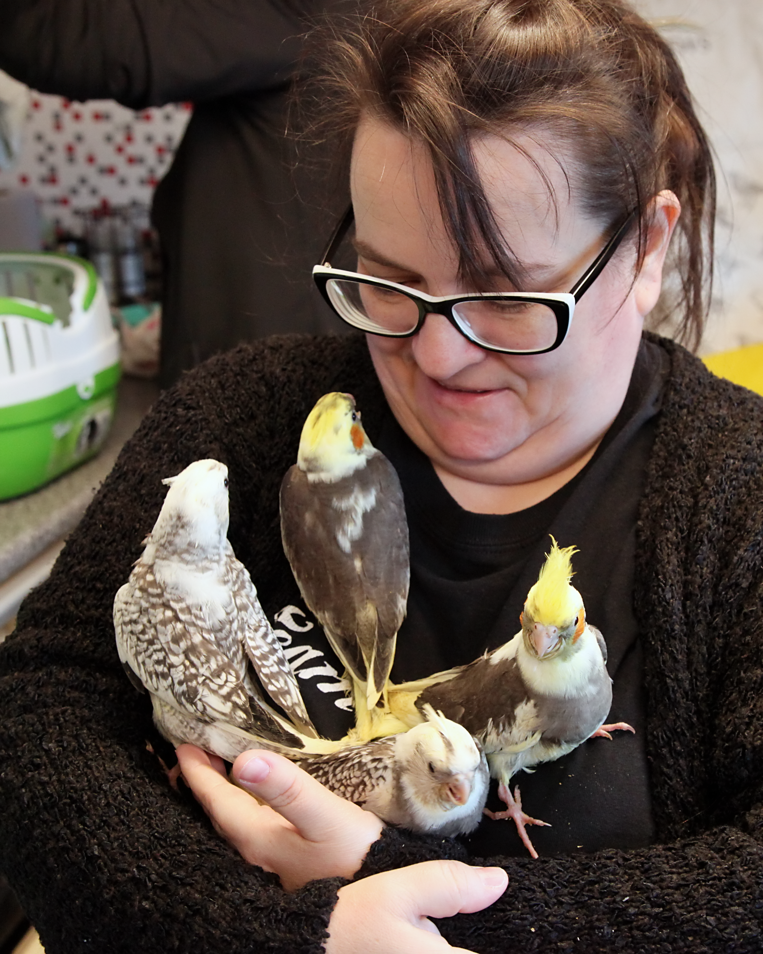 20260212 120511 K&S 0178.png