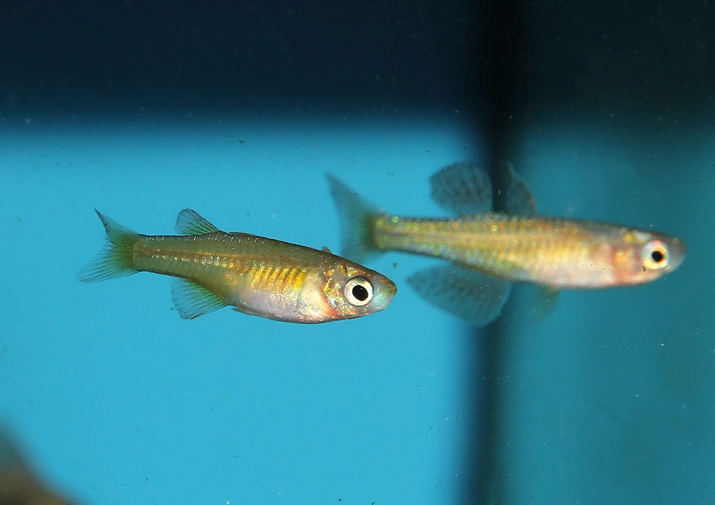 20260403 141207 IMG_0144.jpg