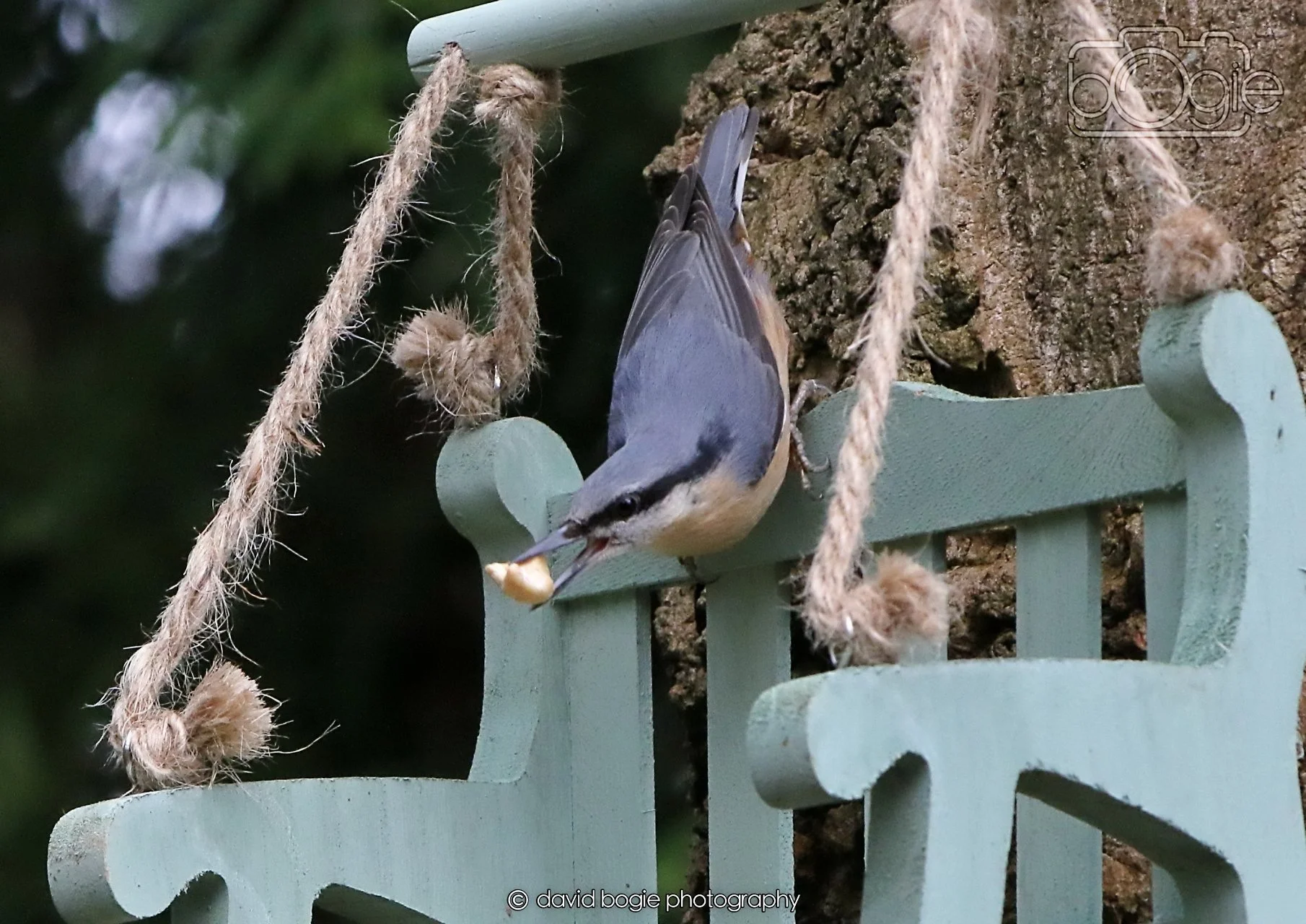 20260330 115949 Dunnikier 0333.jpg