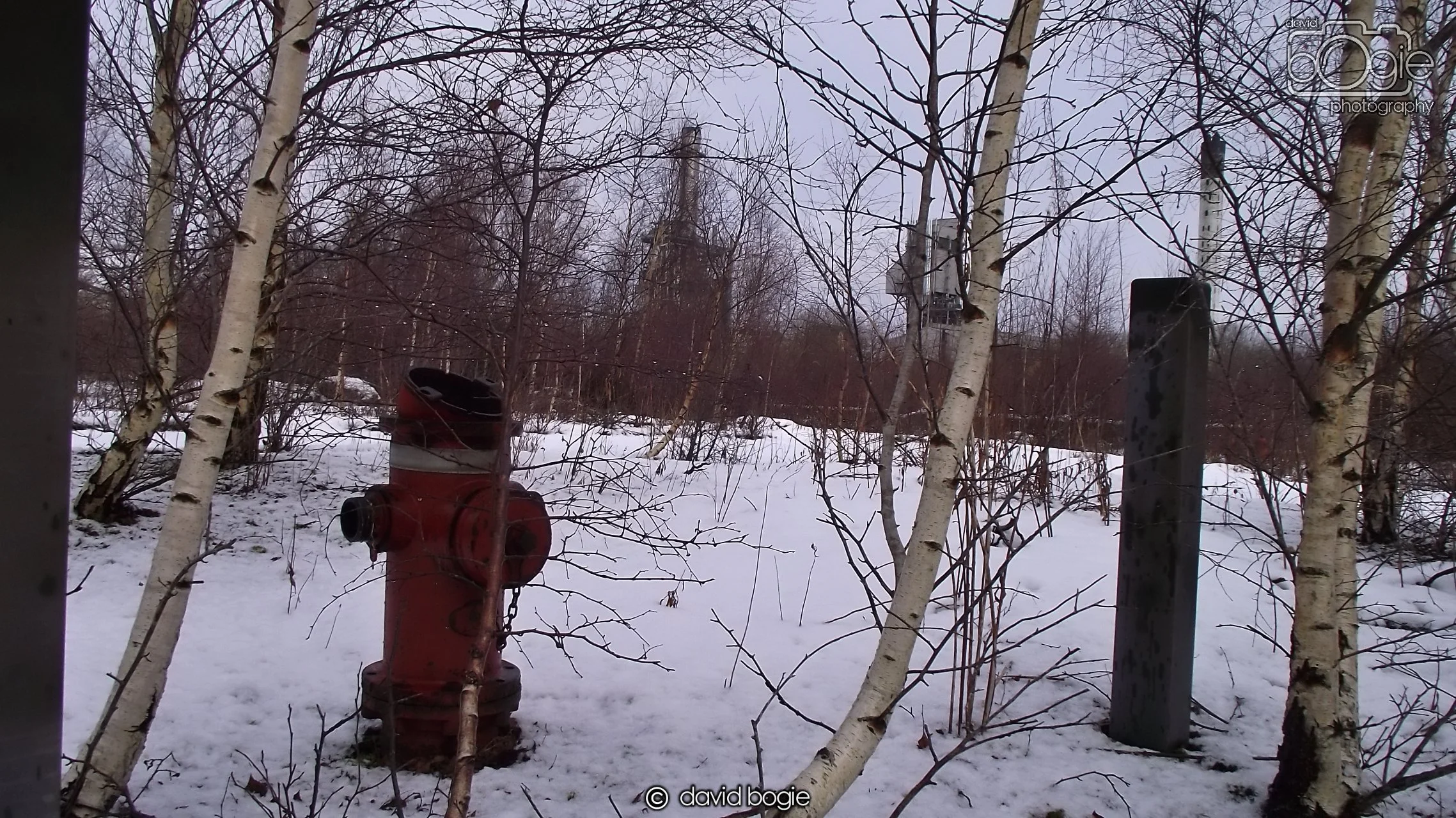 20171227 Westfield (81).JPG