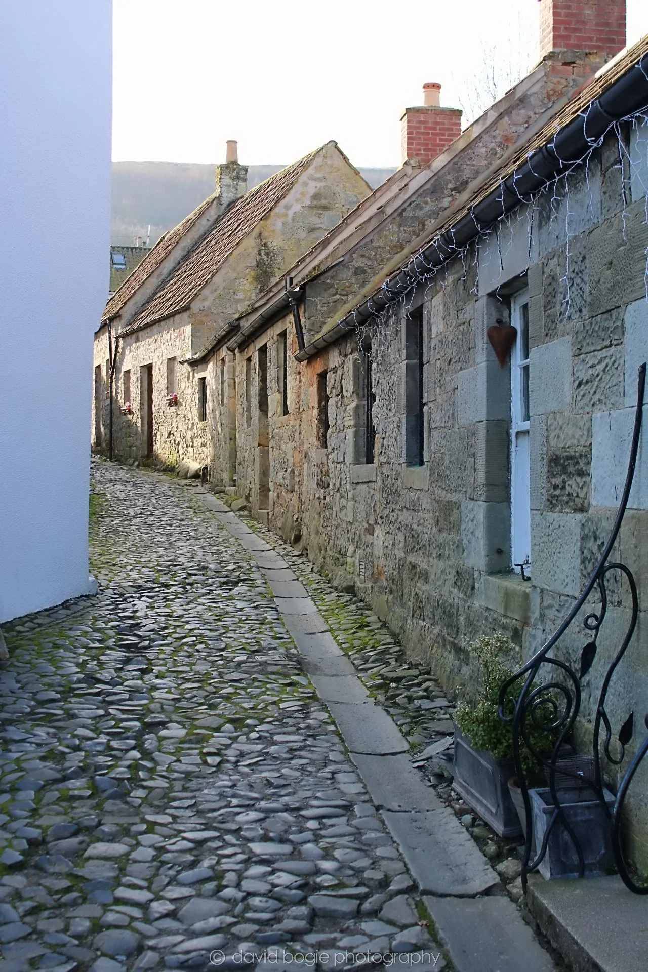 20190211 115035 Falkland 0009.jpg