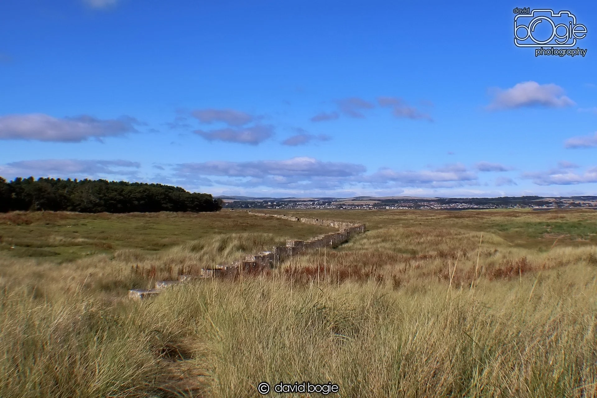 20191002 132745 Tentsmuir 0015.jpg
