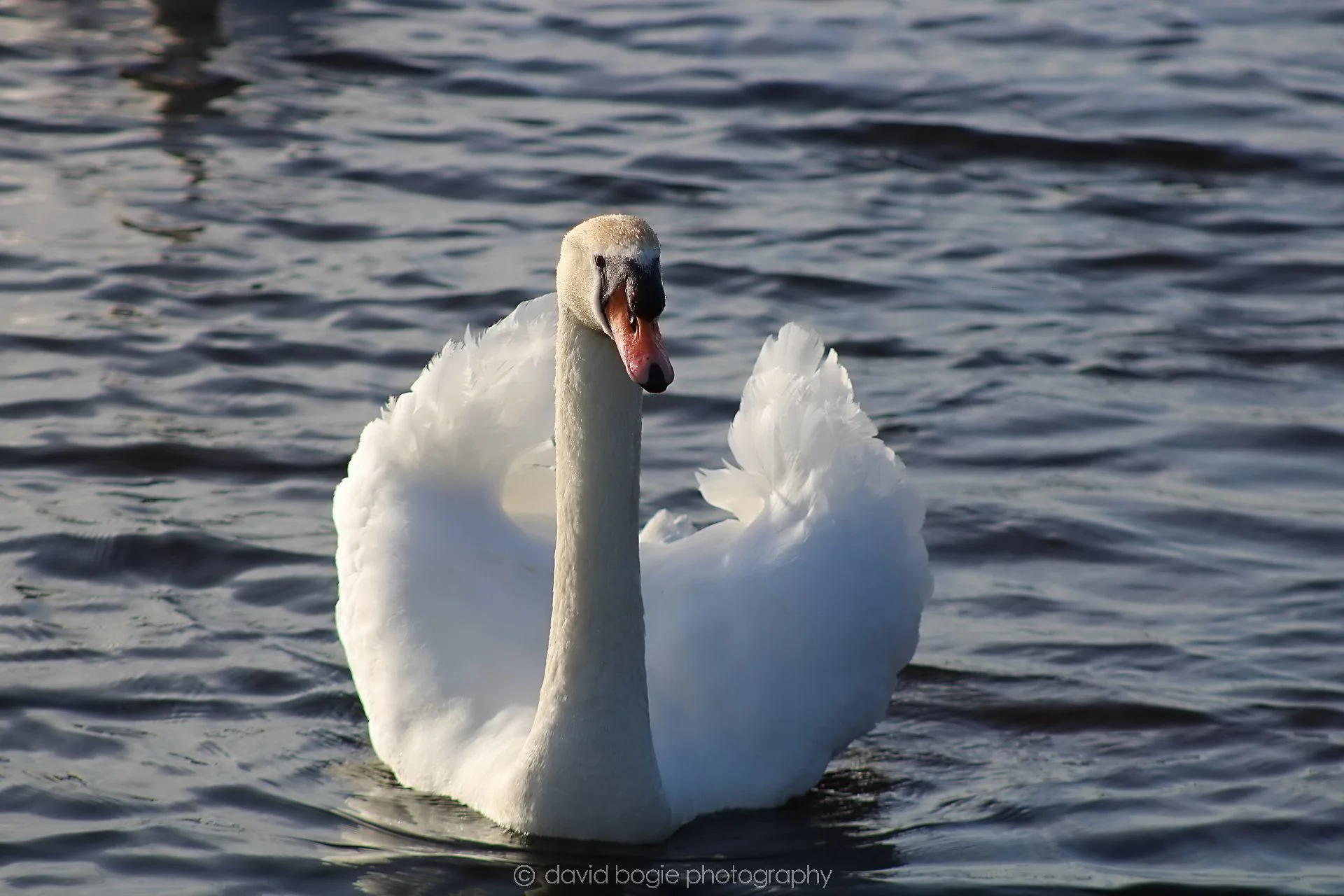 20210222 Lochore (21).jpg