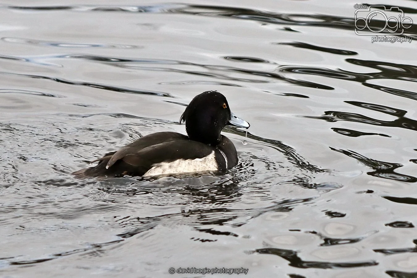 20260114 125413 Beveridge Park 0181.JPG