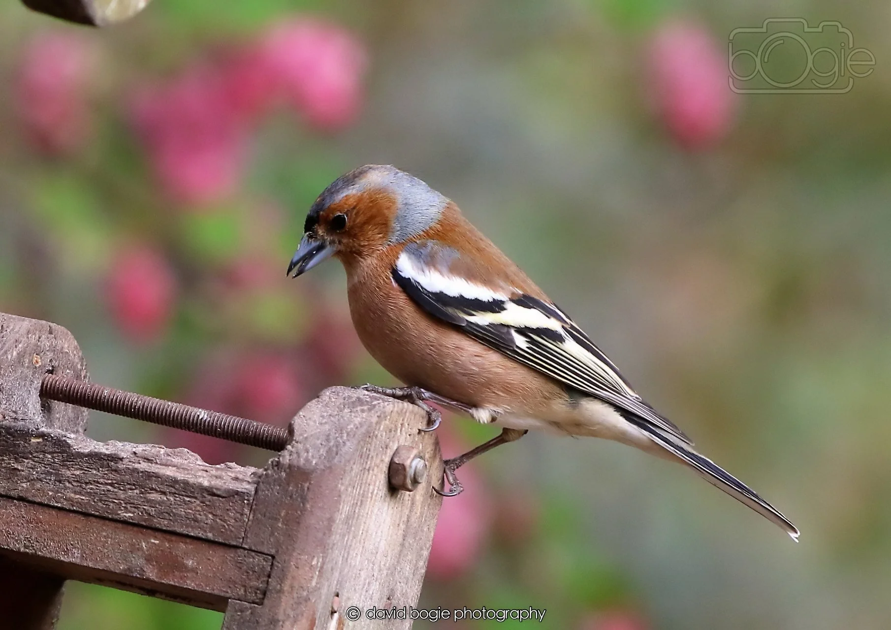 20260326 120343 Silverburn 0357.jpg