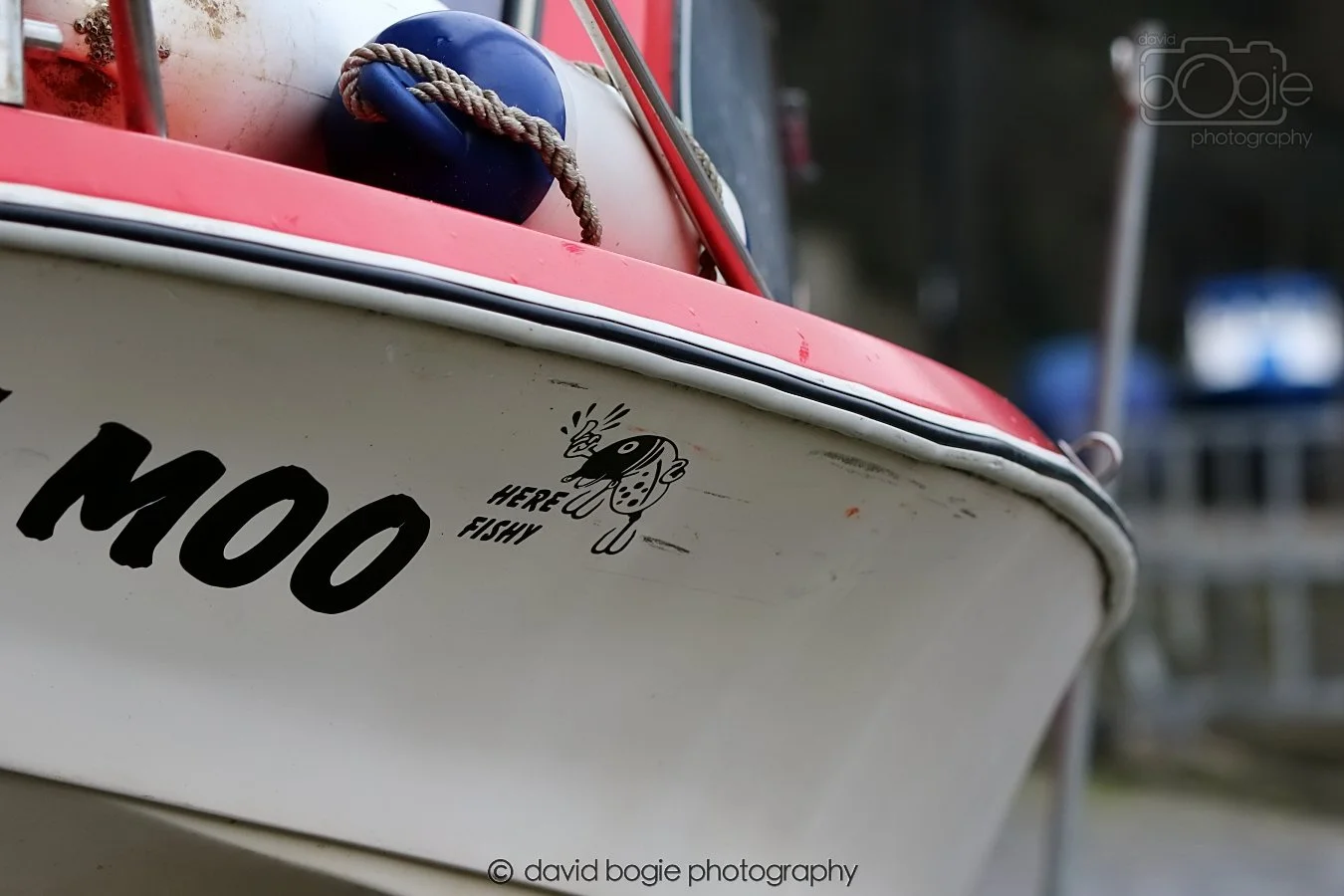 20260208 144307 Kirkcaldy 0083.jpg