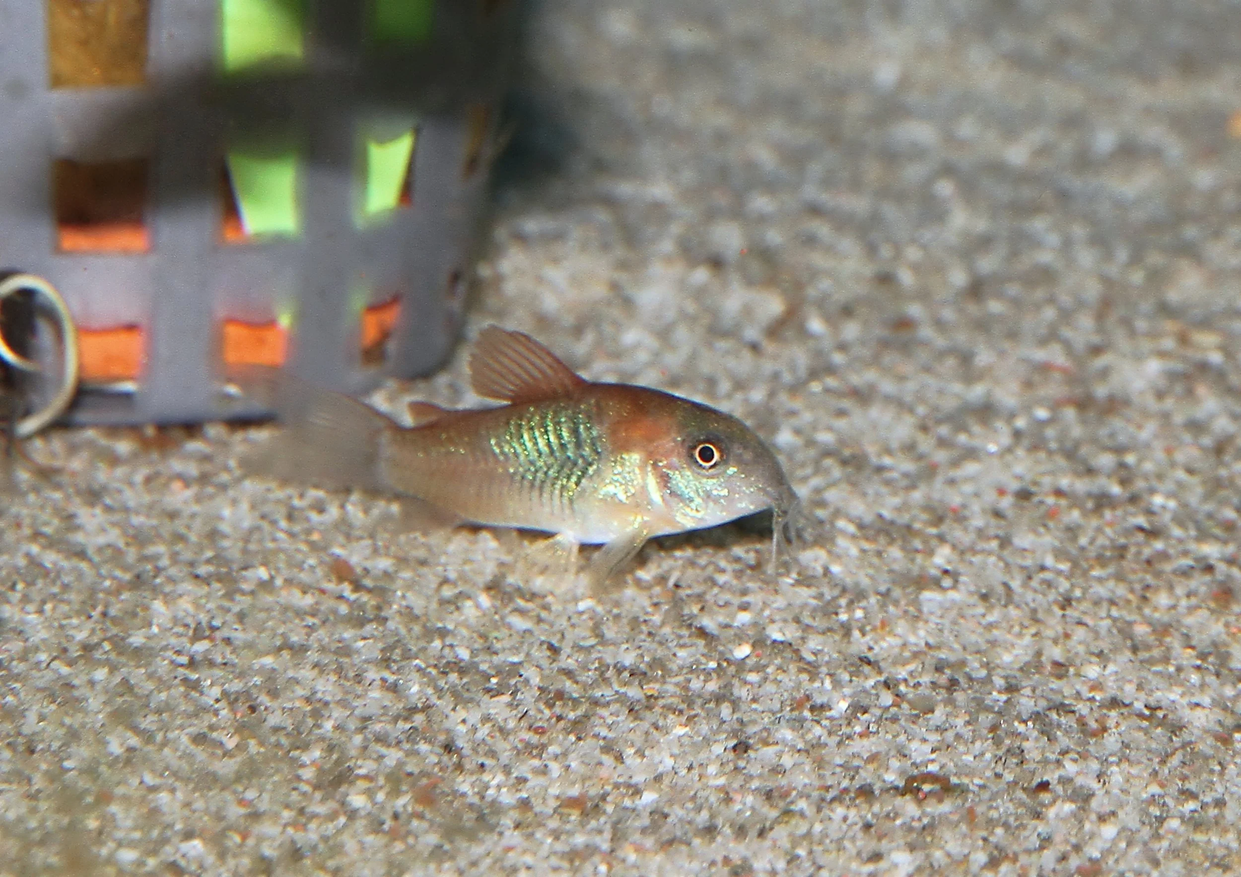 20260403 141245 IMG_0149.jpg