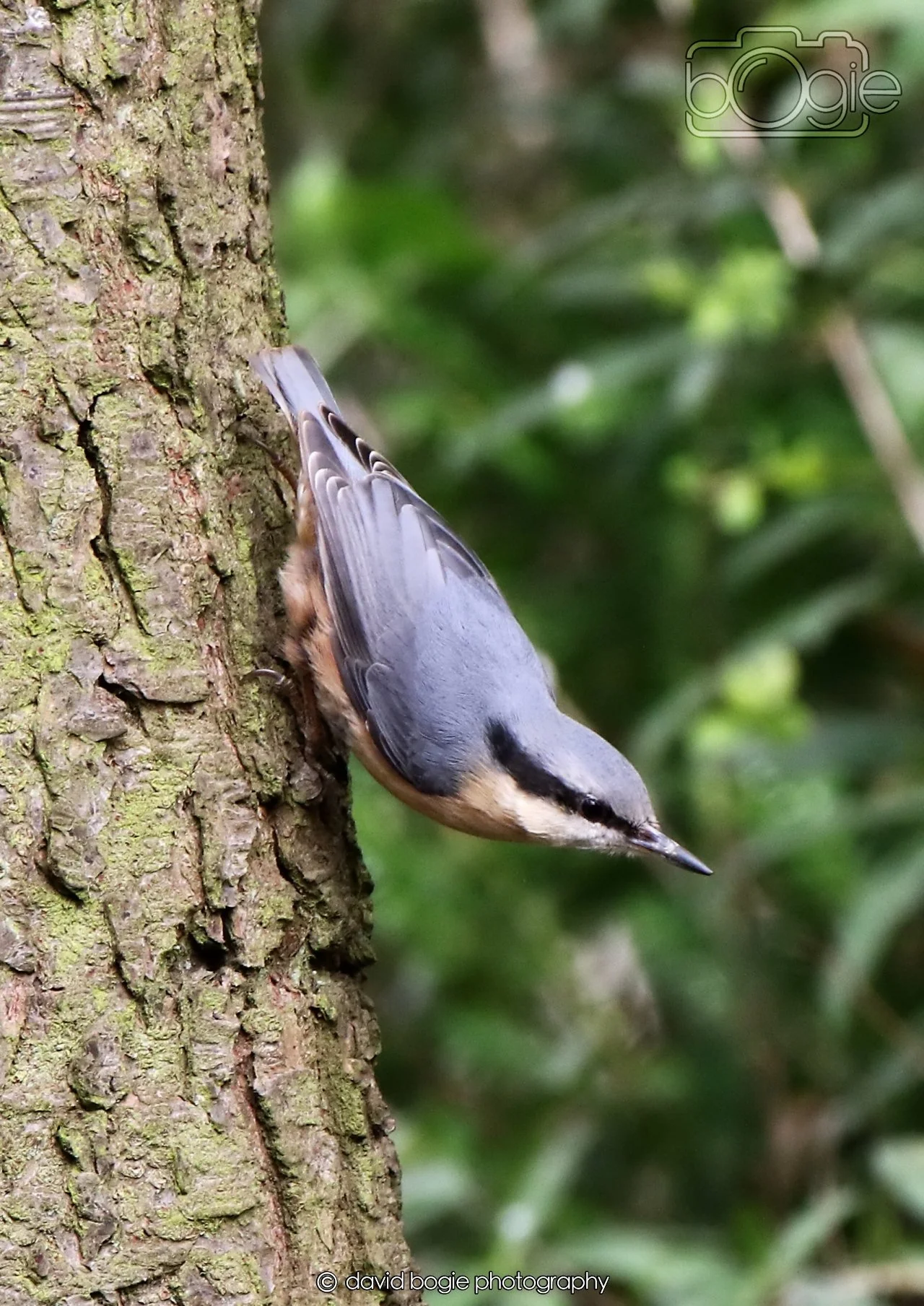 20260330 111401 Dunnikier 0057.jpg