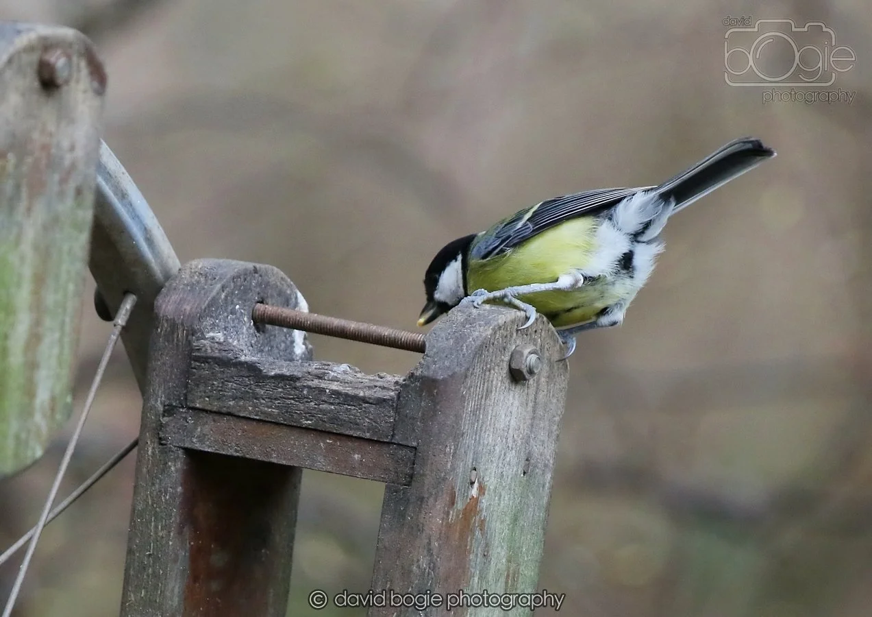 20260215 125715 Silverburn 0005.jpg