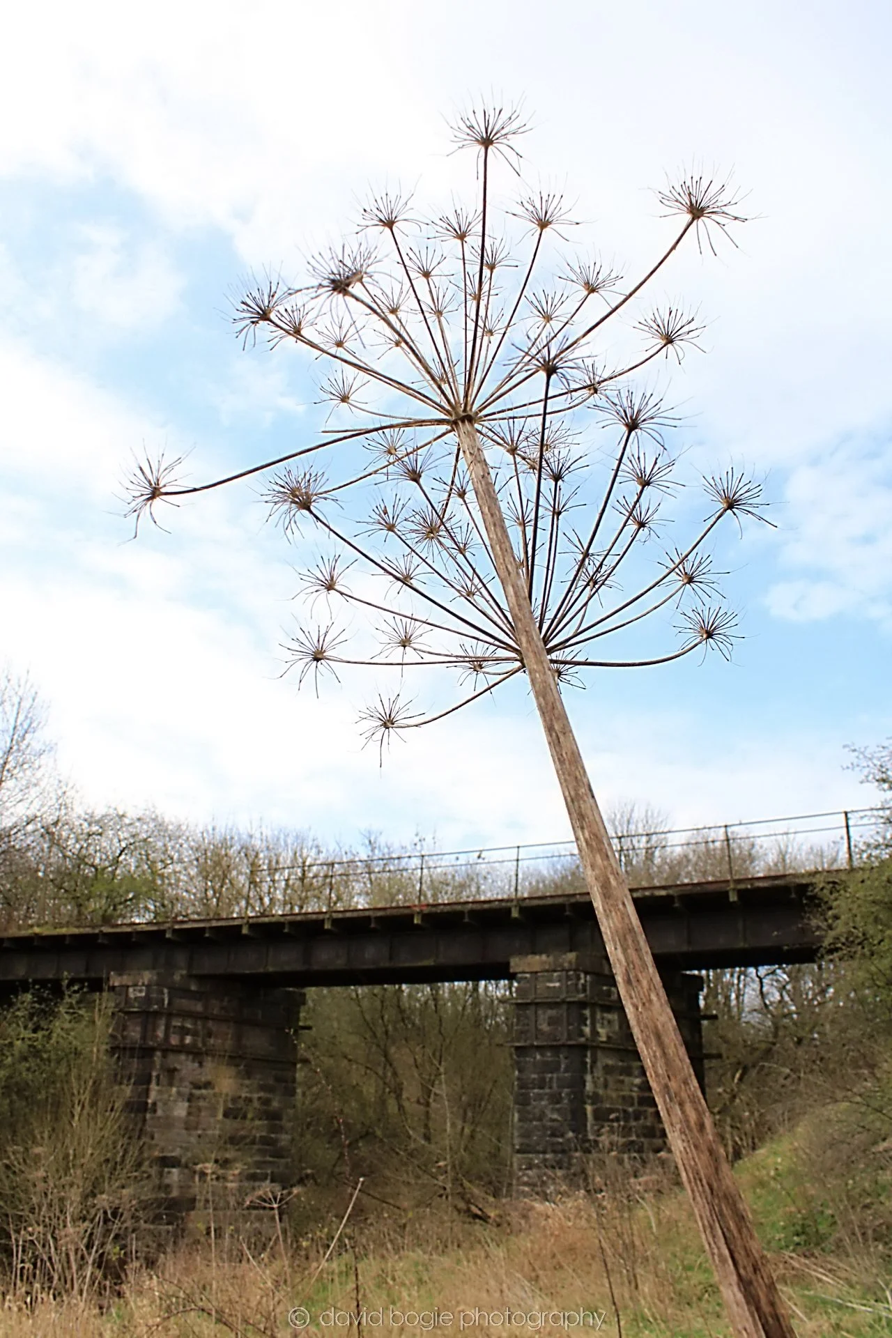 20190401 111229 Cardenden 0017.jpg