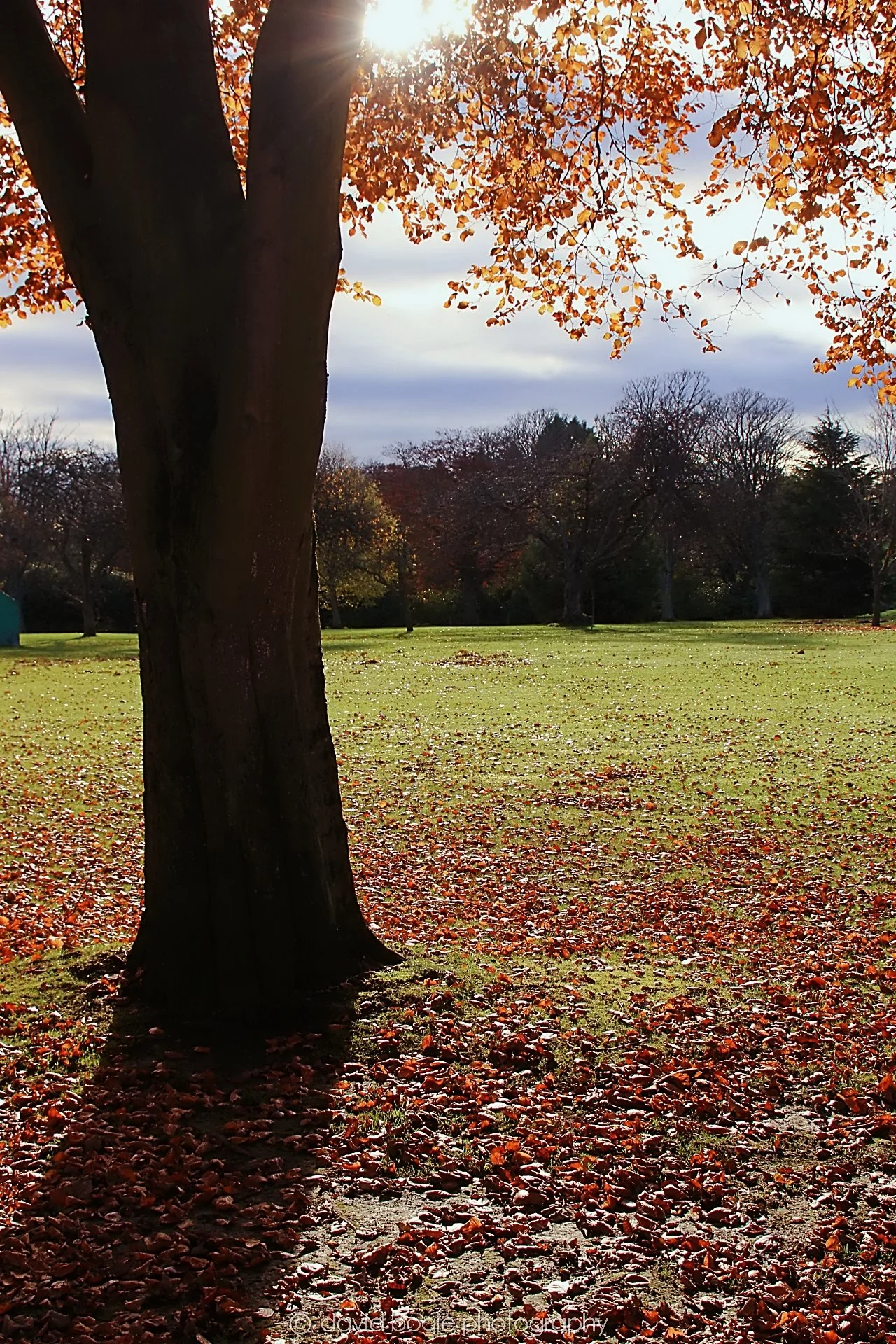 YEAR20231107 Beveridge Park 0272.jpg