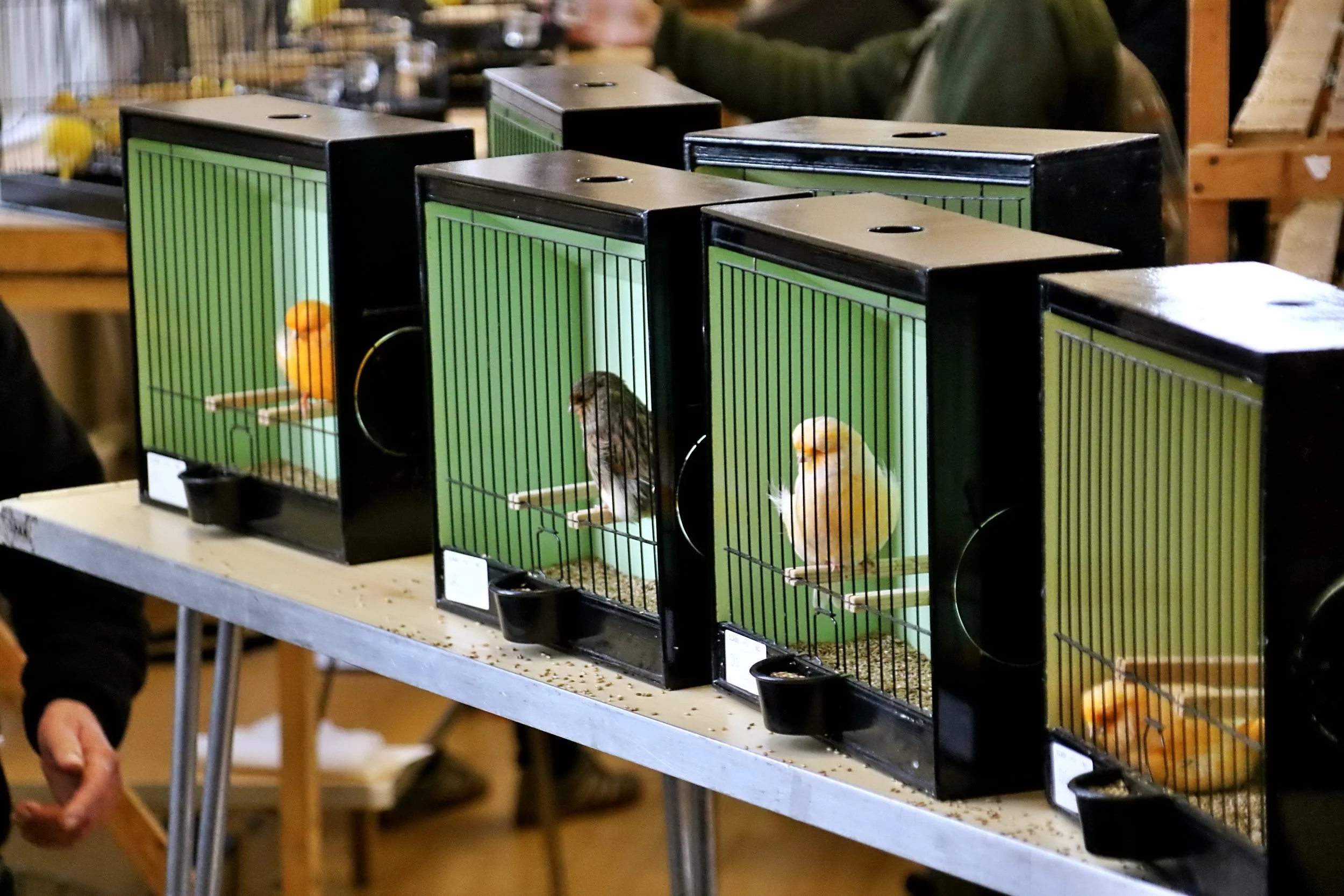 20251102 101728 Markinch CBS  0313.JPG