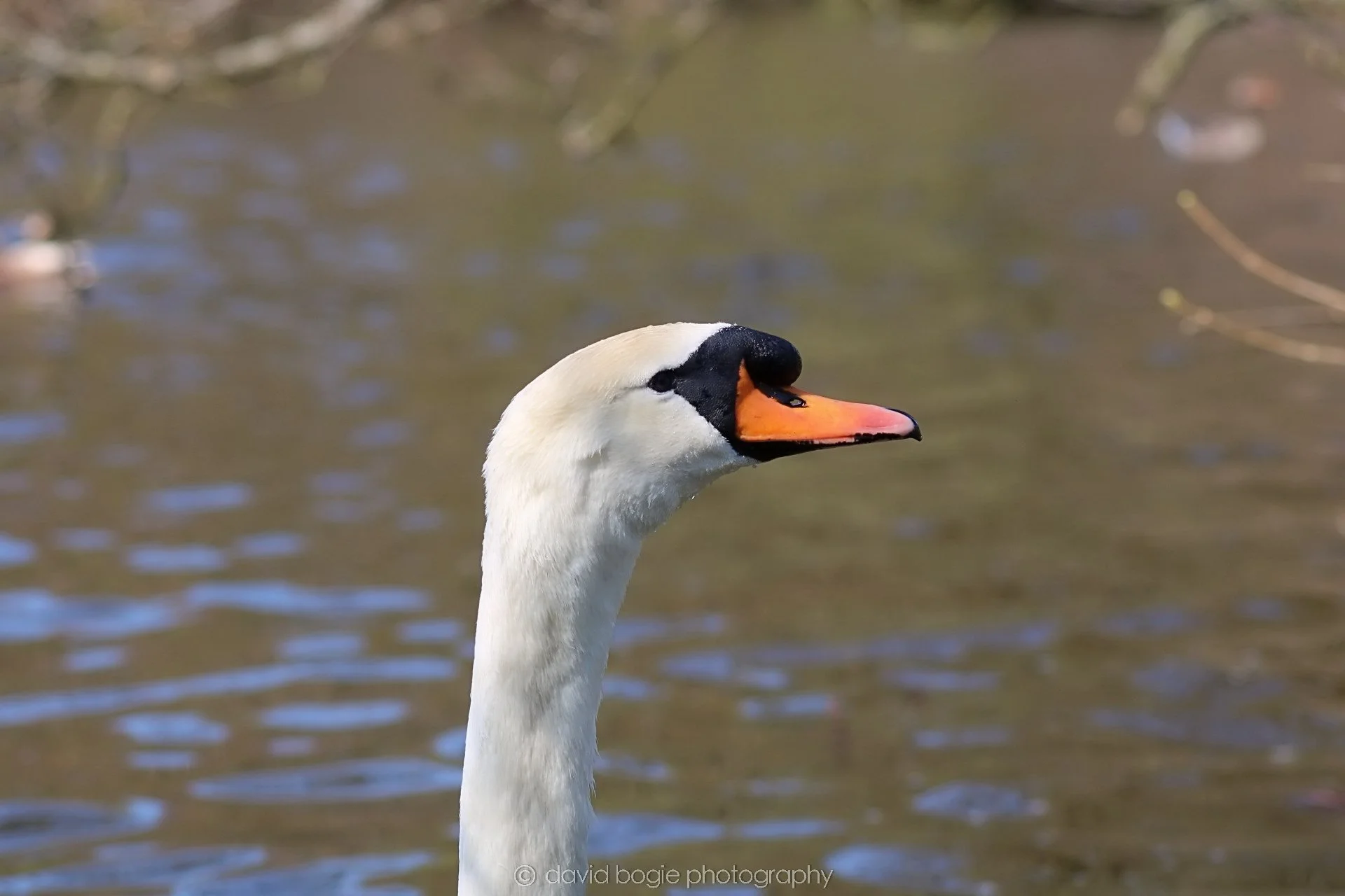 20190411 112504 Otterston 0032.jpg