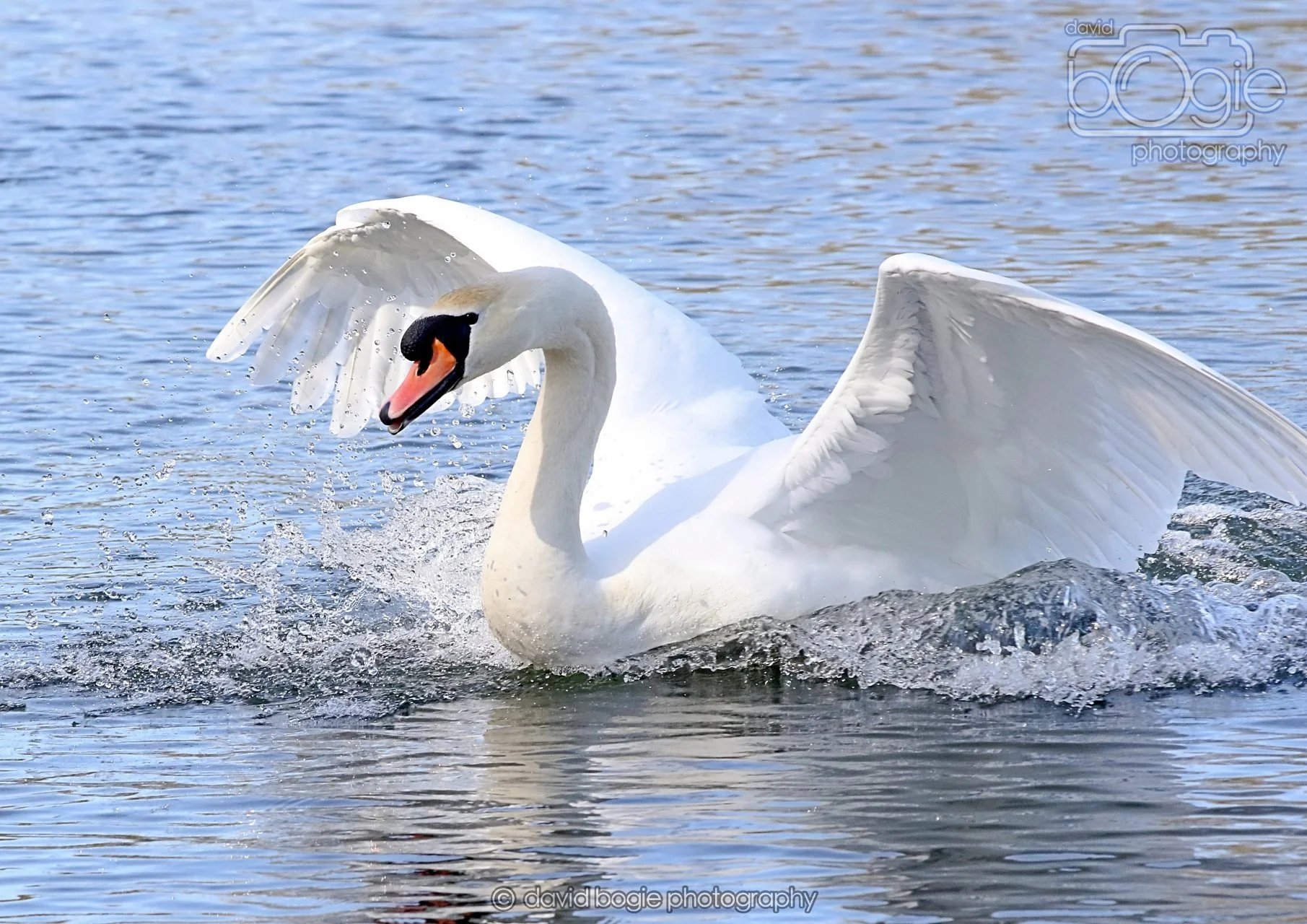 20260319 113608 Beveridge Park 0176.jpg