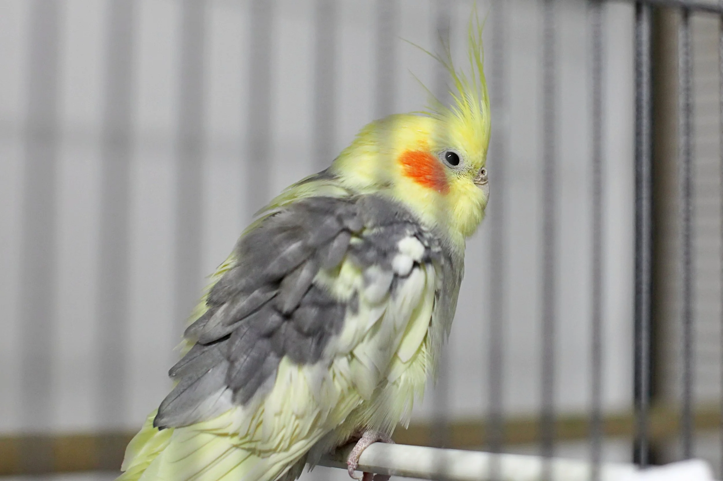 20251117 133004 IMG_0037.JPG