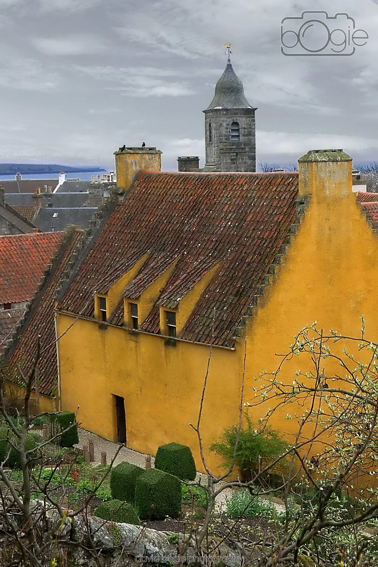 20260401 121437 Culross 0084.jpg