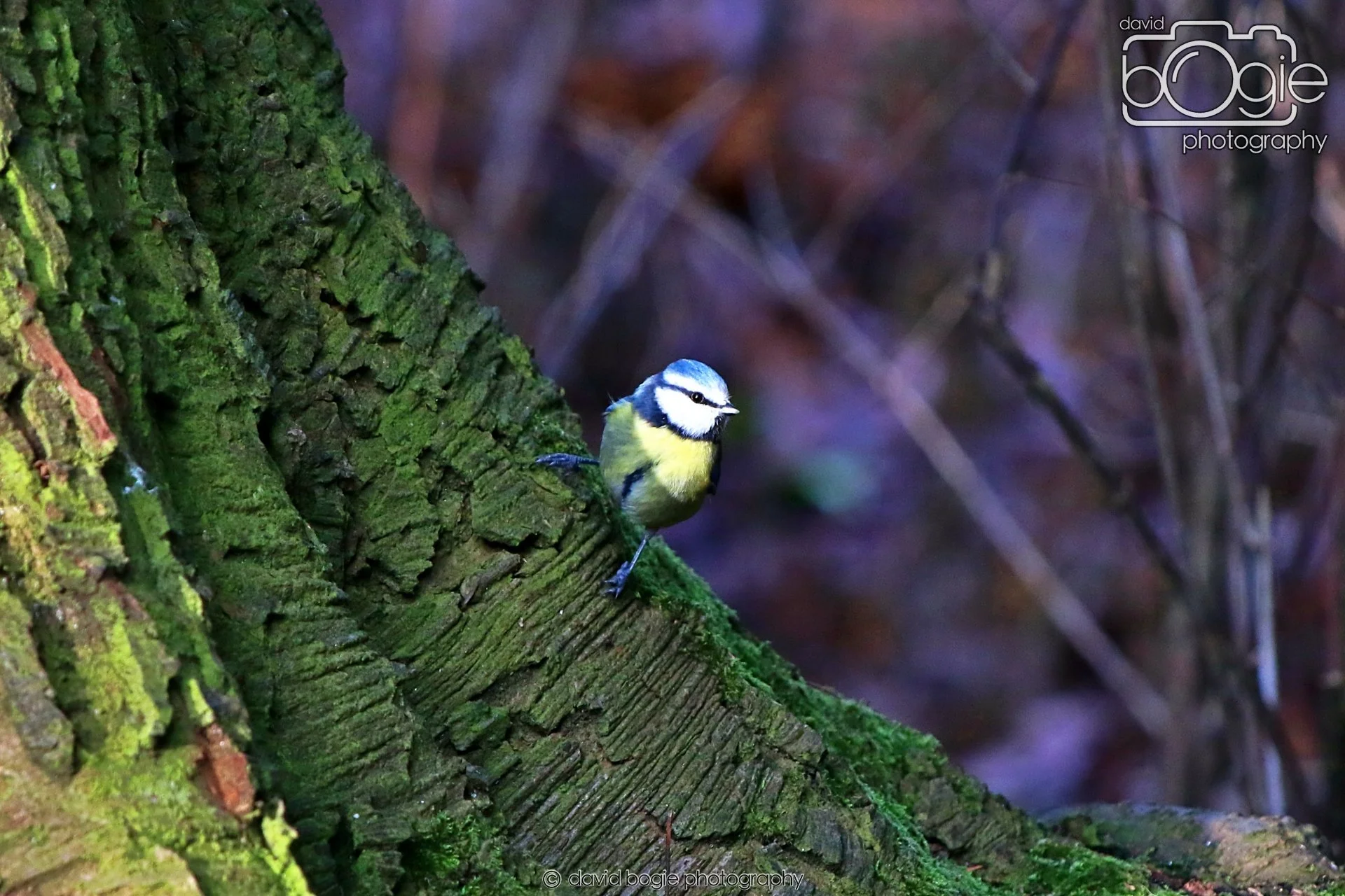 20260128 143716 Dunnikier 0420.JPG