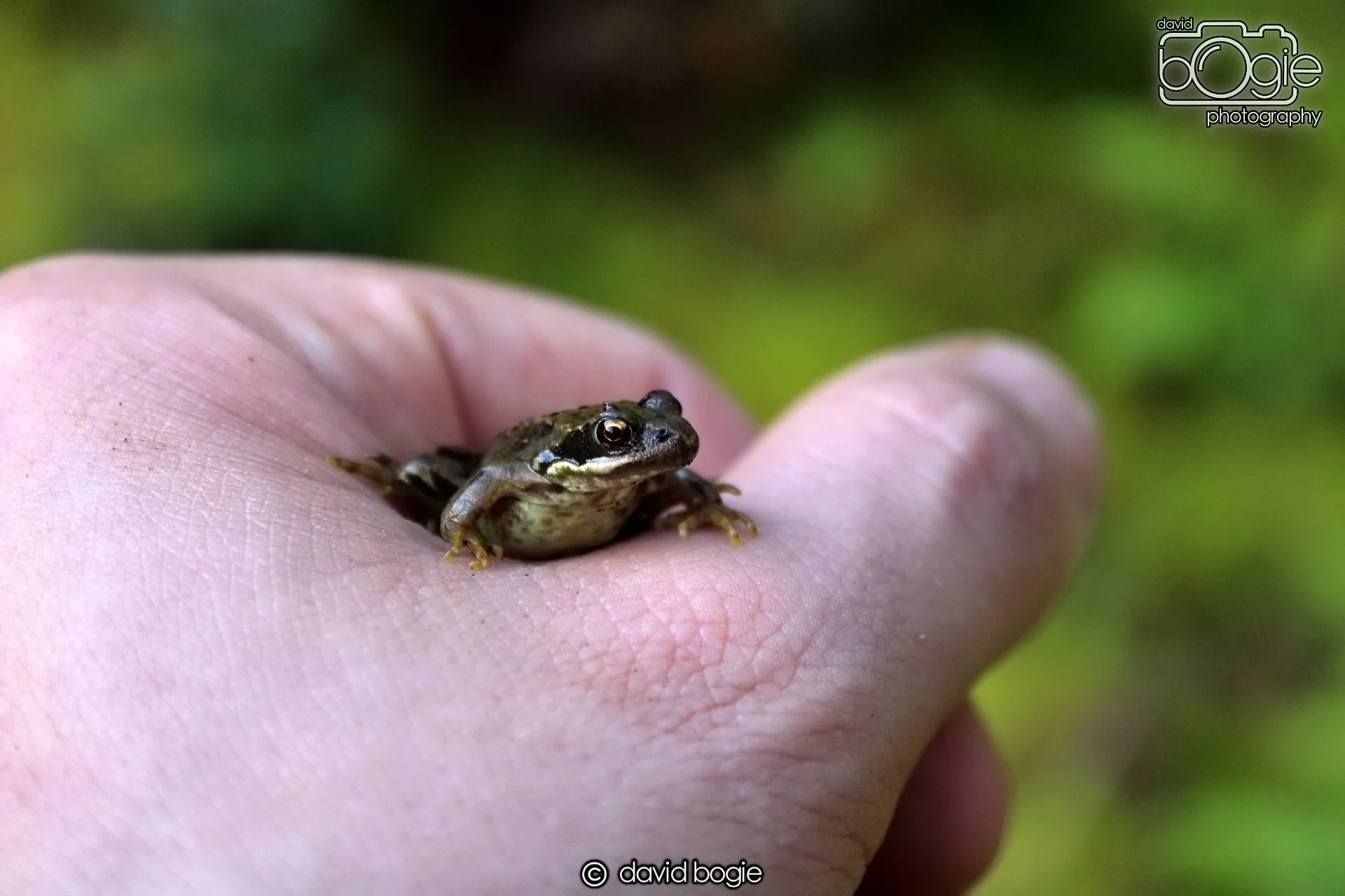 20191014 135611 Tentsmuir 0037.JPG