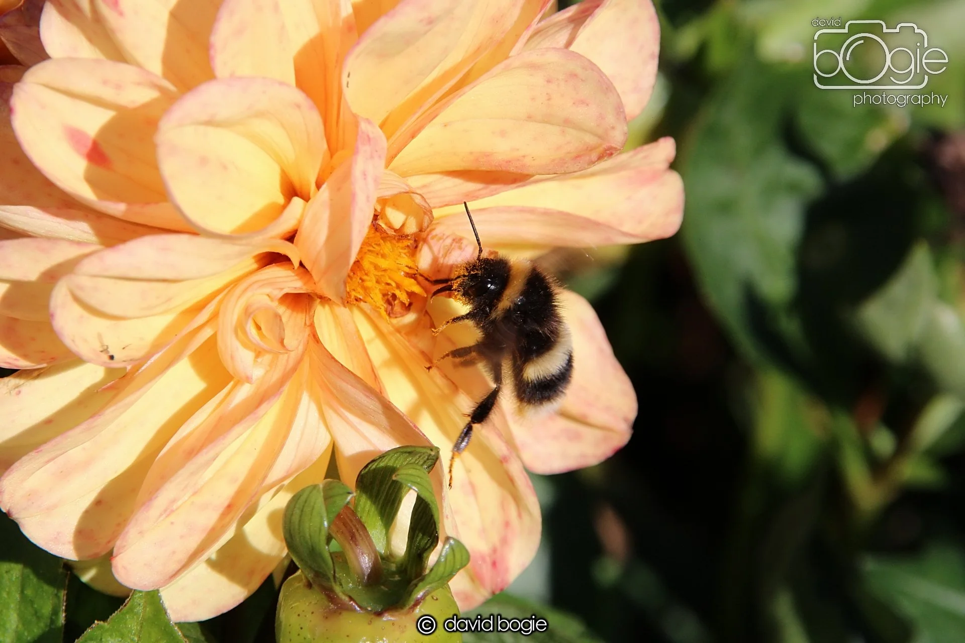 20240918 114848 Beveridge 0159.JPG