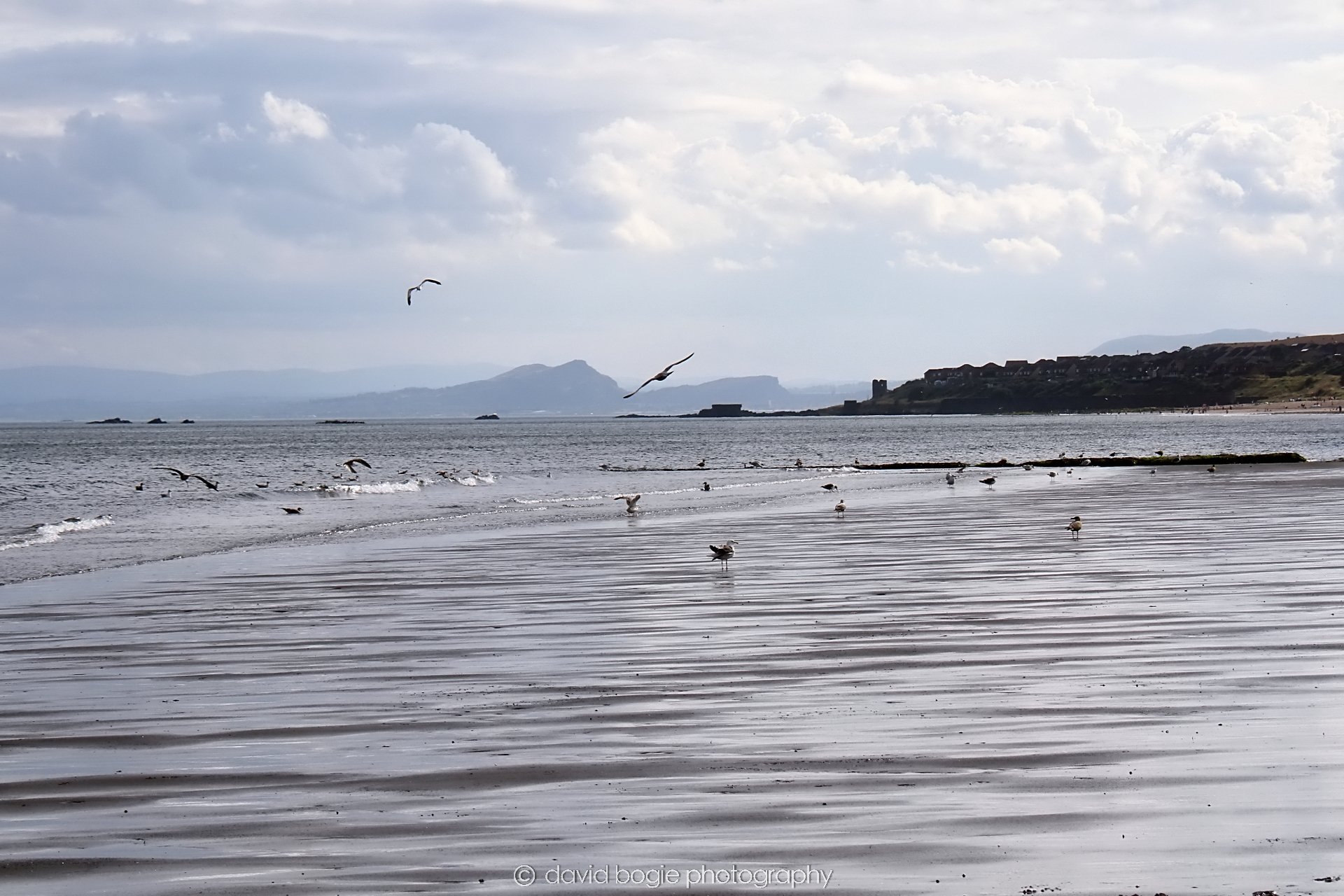 YEAR20230909 Kirkcaldy 153245 0171.jpg