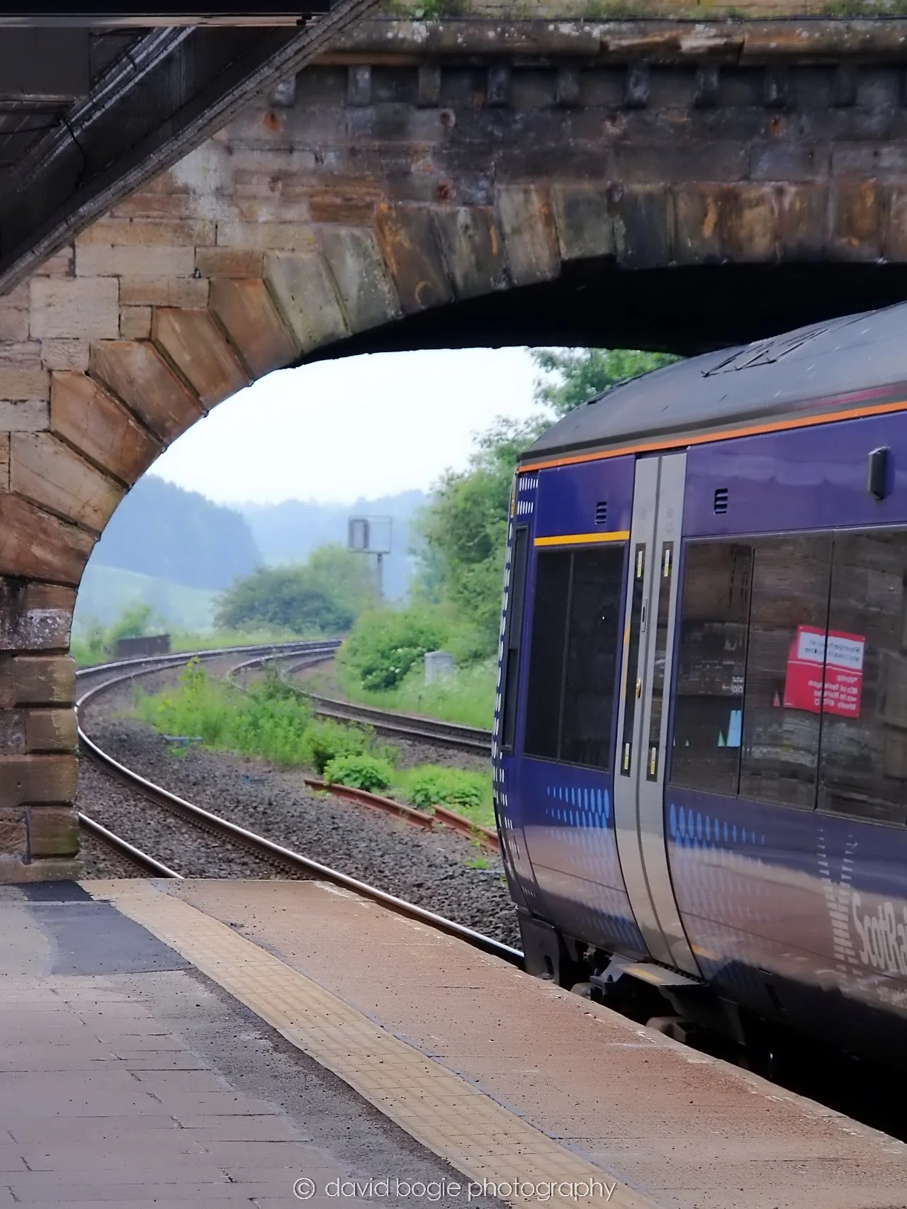 YEAR20240531 120126 Cupar 0200.jpg