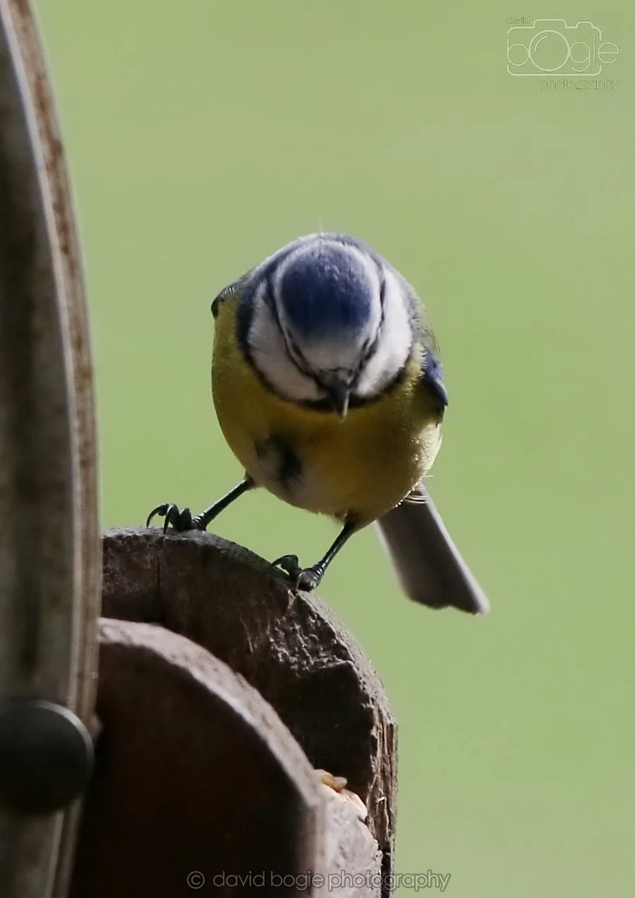 20260314 134456 Silverburn 0033.jpg