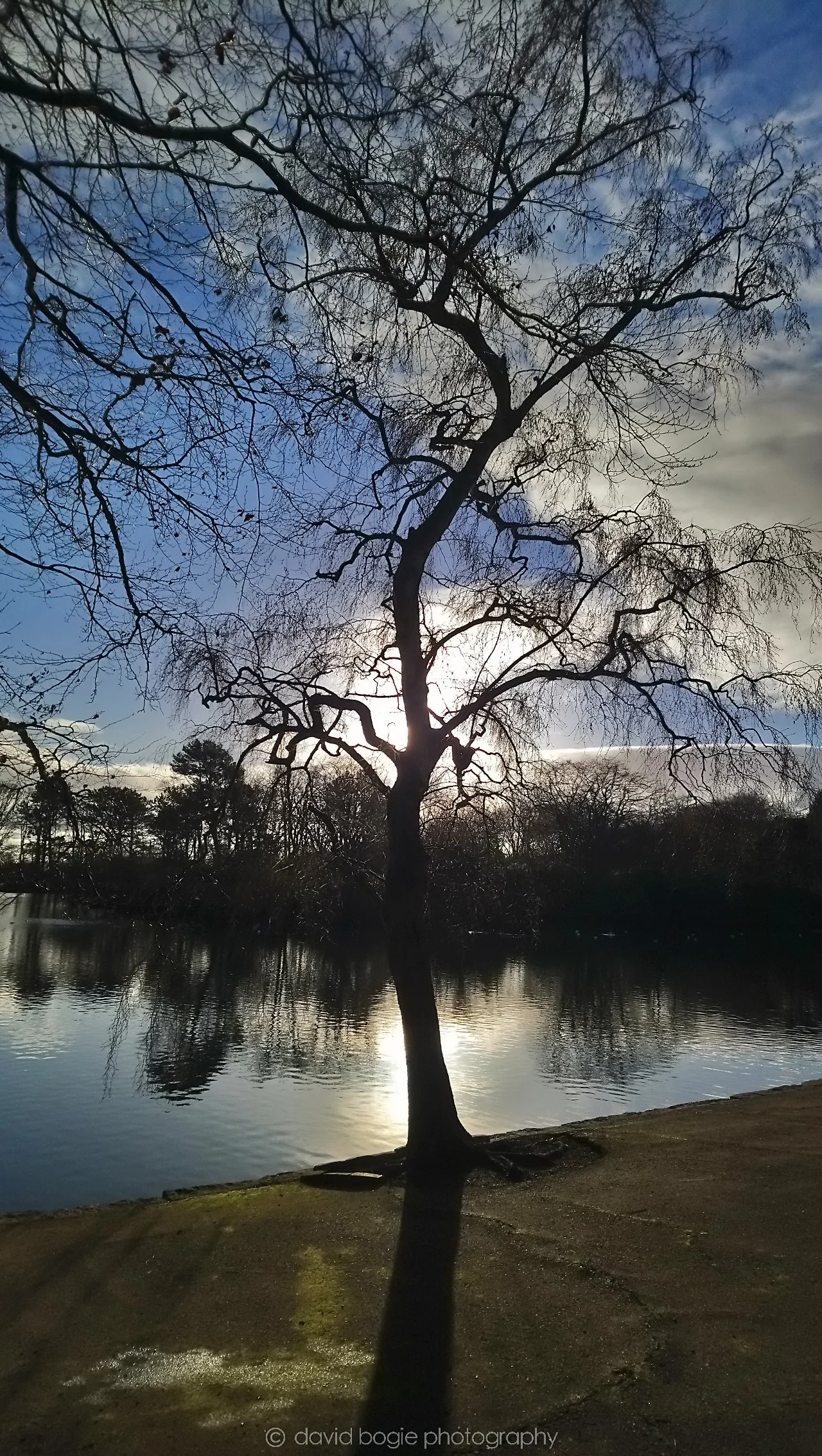 20190101 122214 Beveridge 0001.jpg